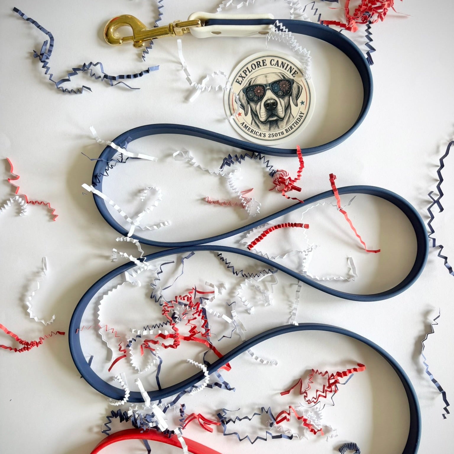 July 4th Leash and Collar Set