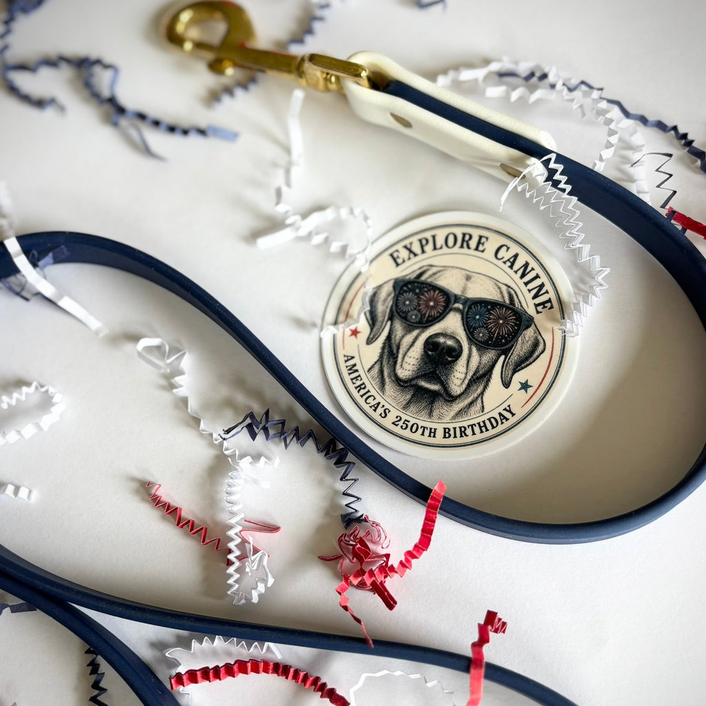 July 4th Leash and Collar Set