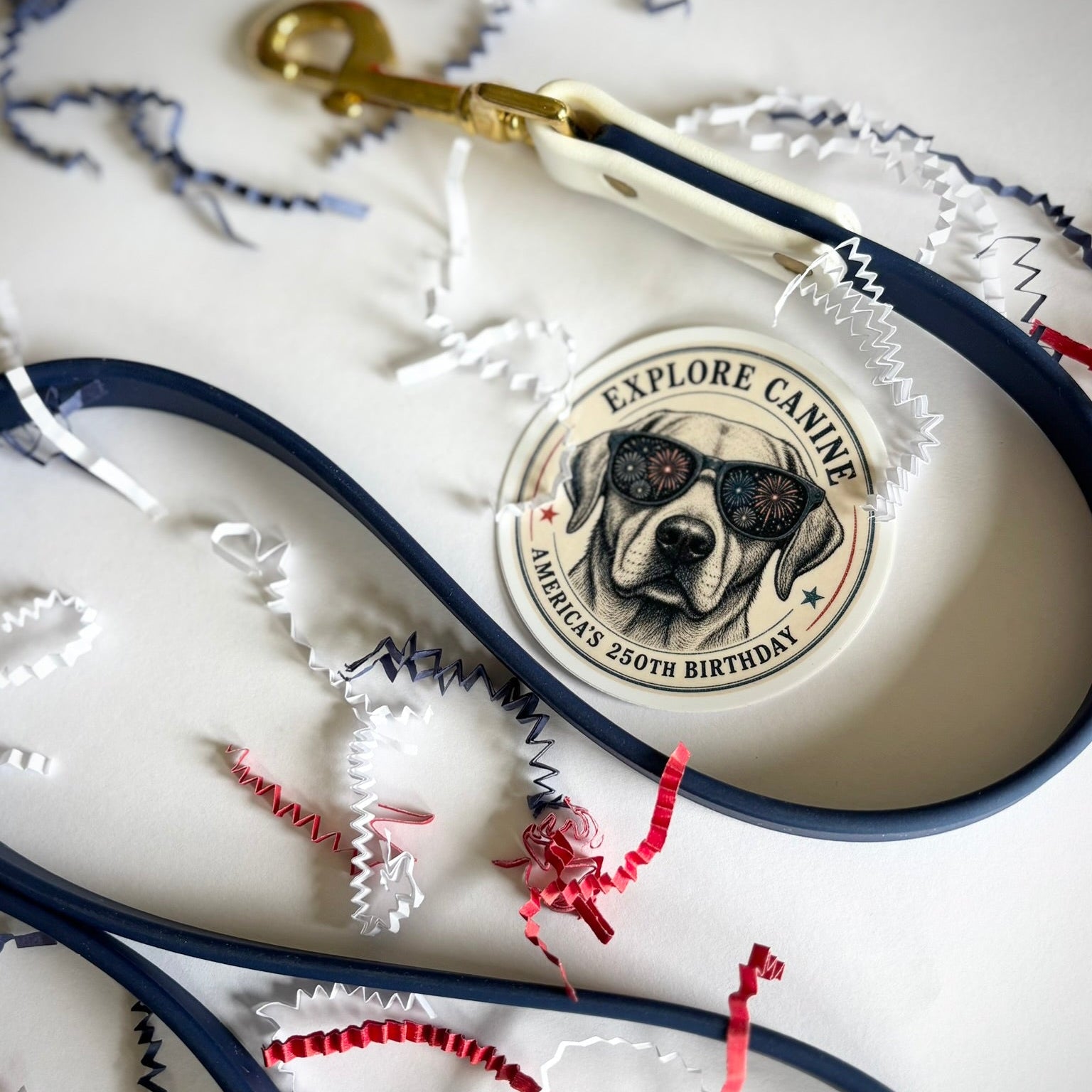 July 4th Leash and Collar Set