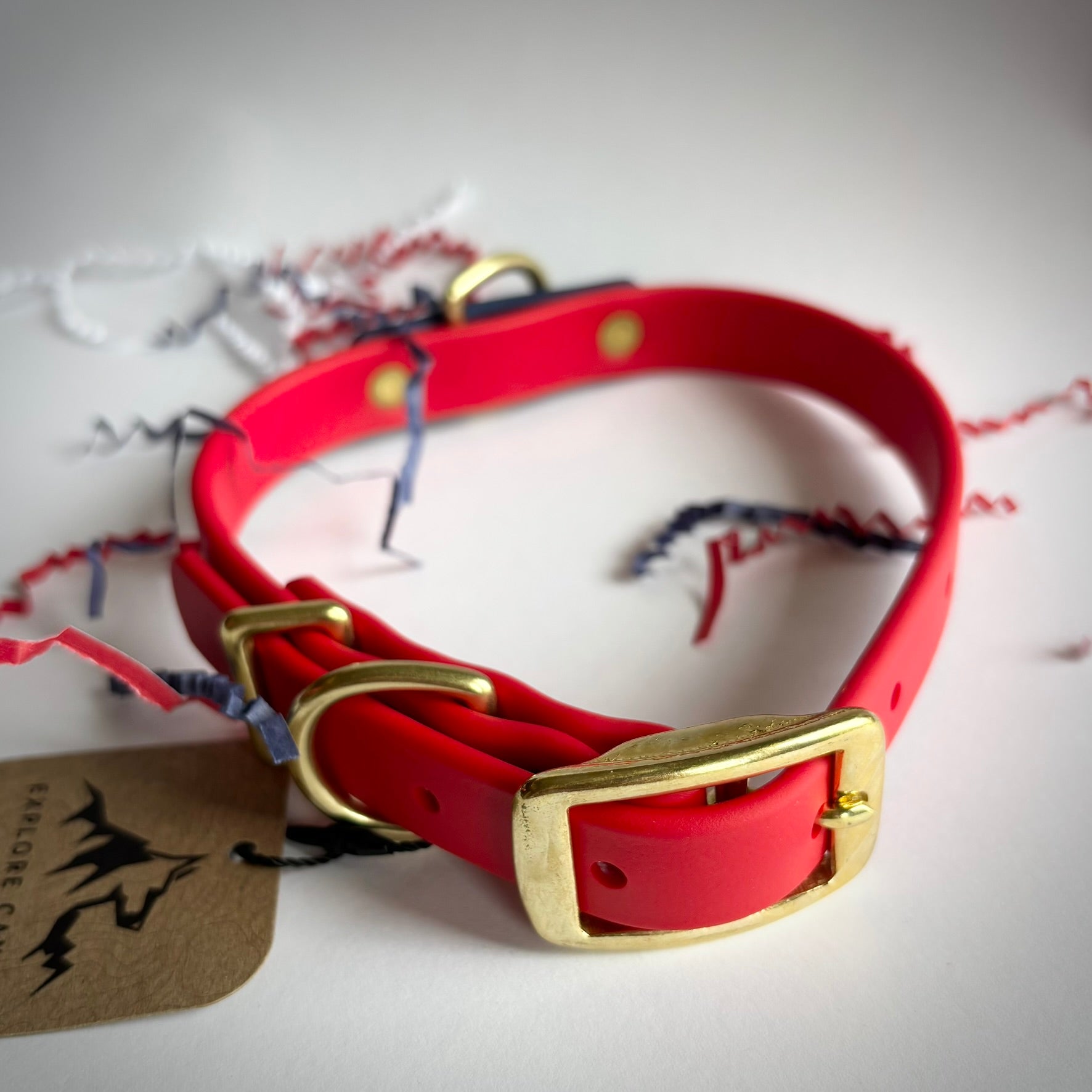 July 4th Leash and Collar Set