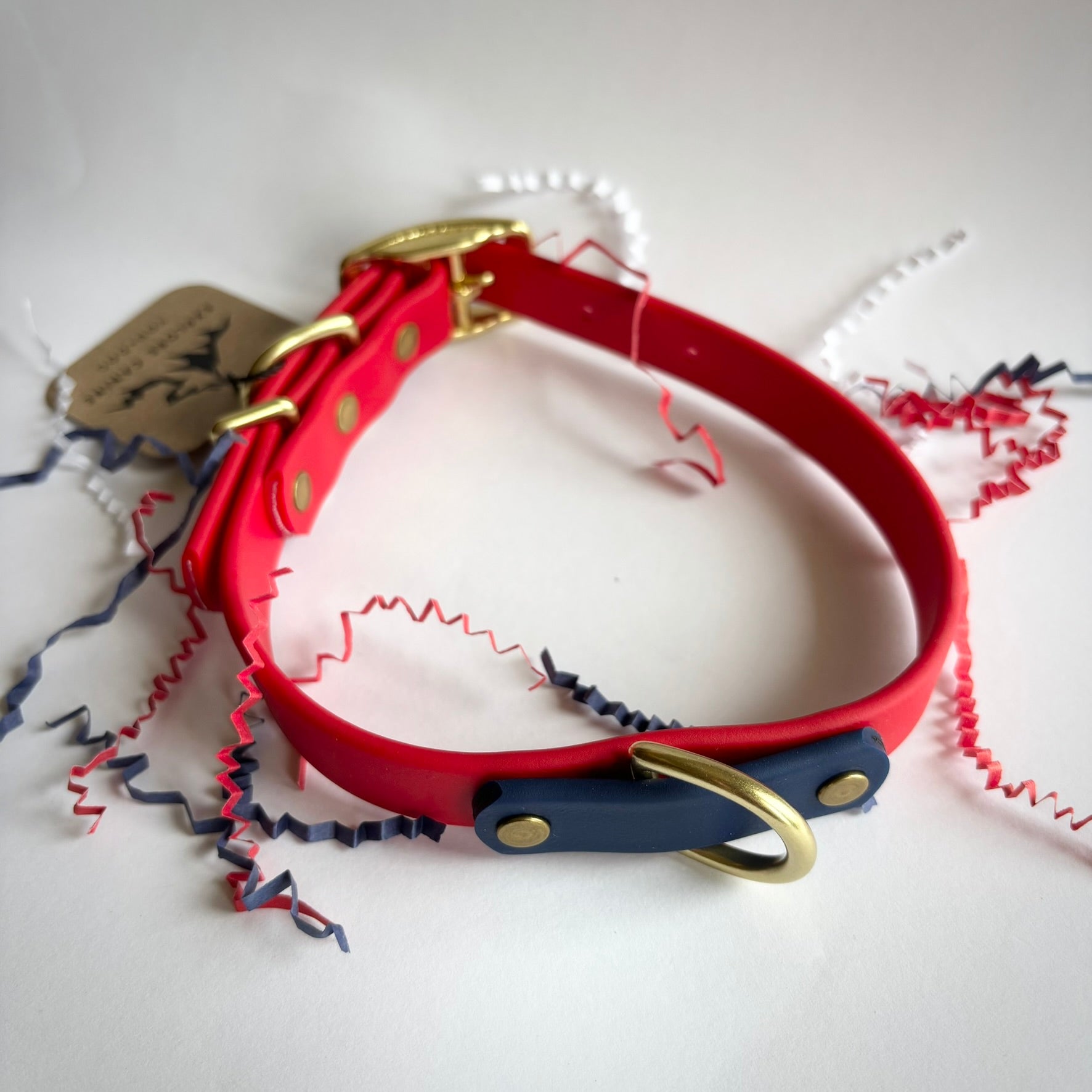 July 4th Leash and Collar Set