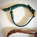 Waterproof Biothane Martingale Training Collar