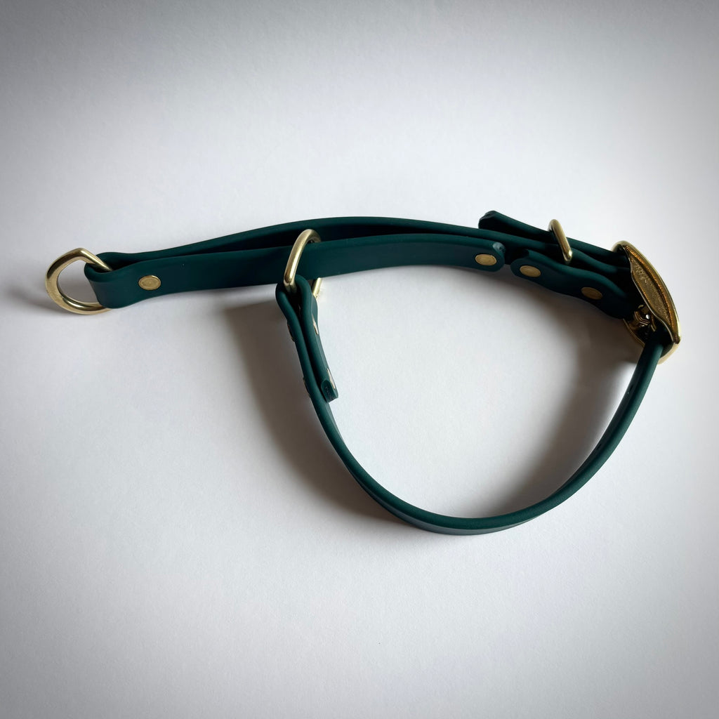 Waterproof Biothane Martingale Training Collar