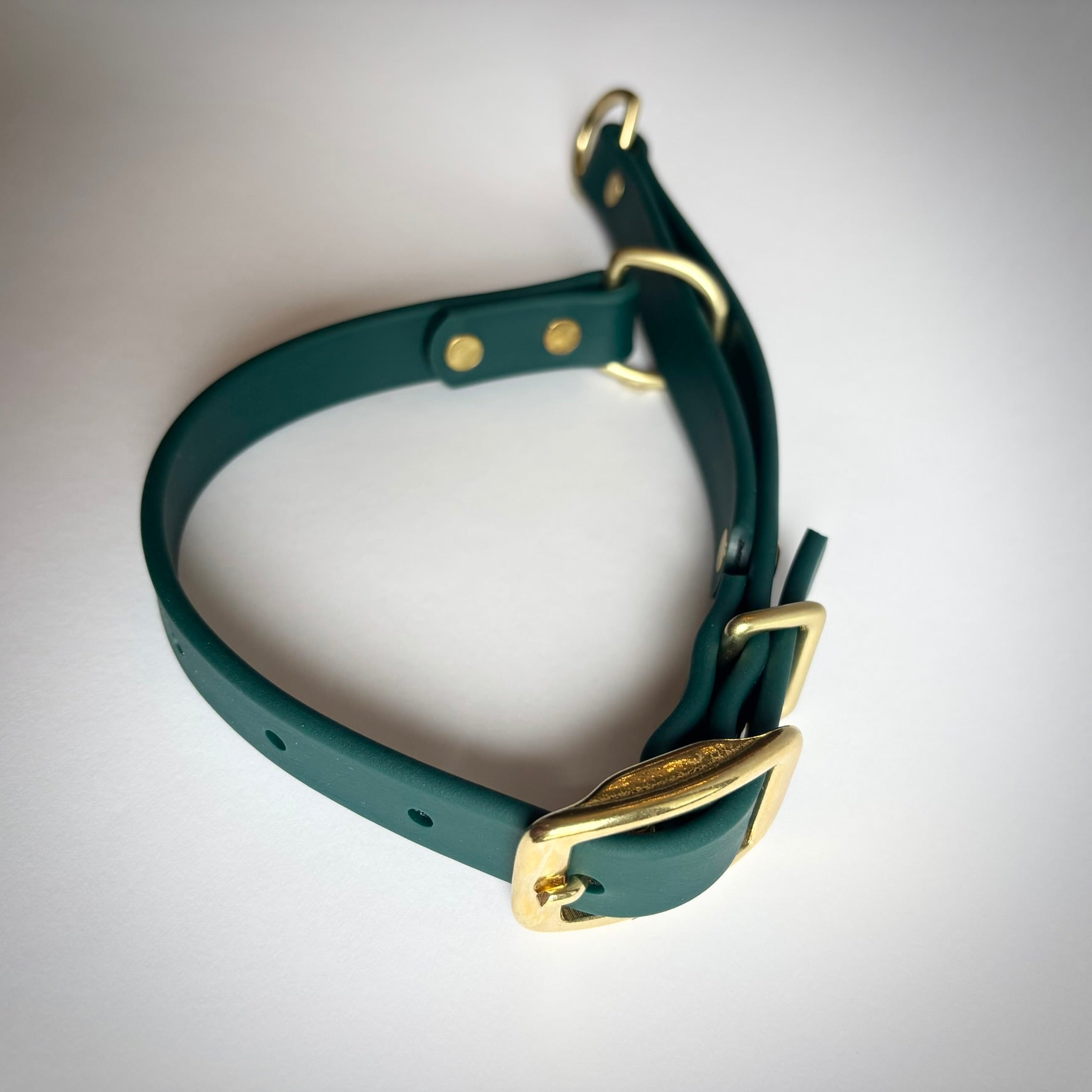 Waterproof Biothane Martingale Training Collar