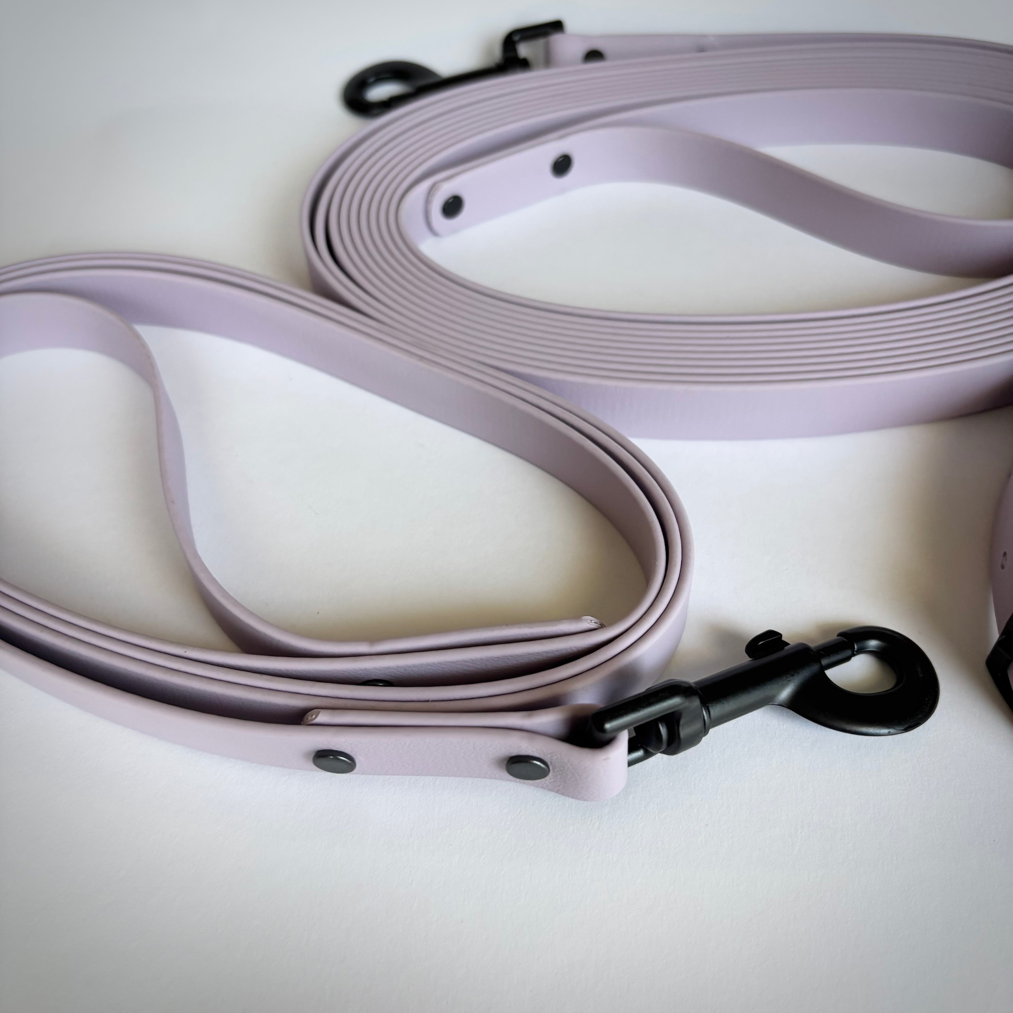Ultra-Light Waterproof 20 Foot Dog Long Line | Limited Edition Purple