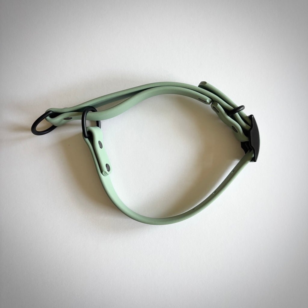 Waterproof Biothane Martingale Training Collar