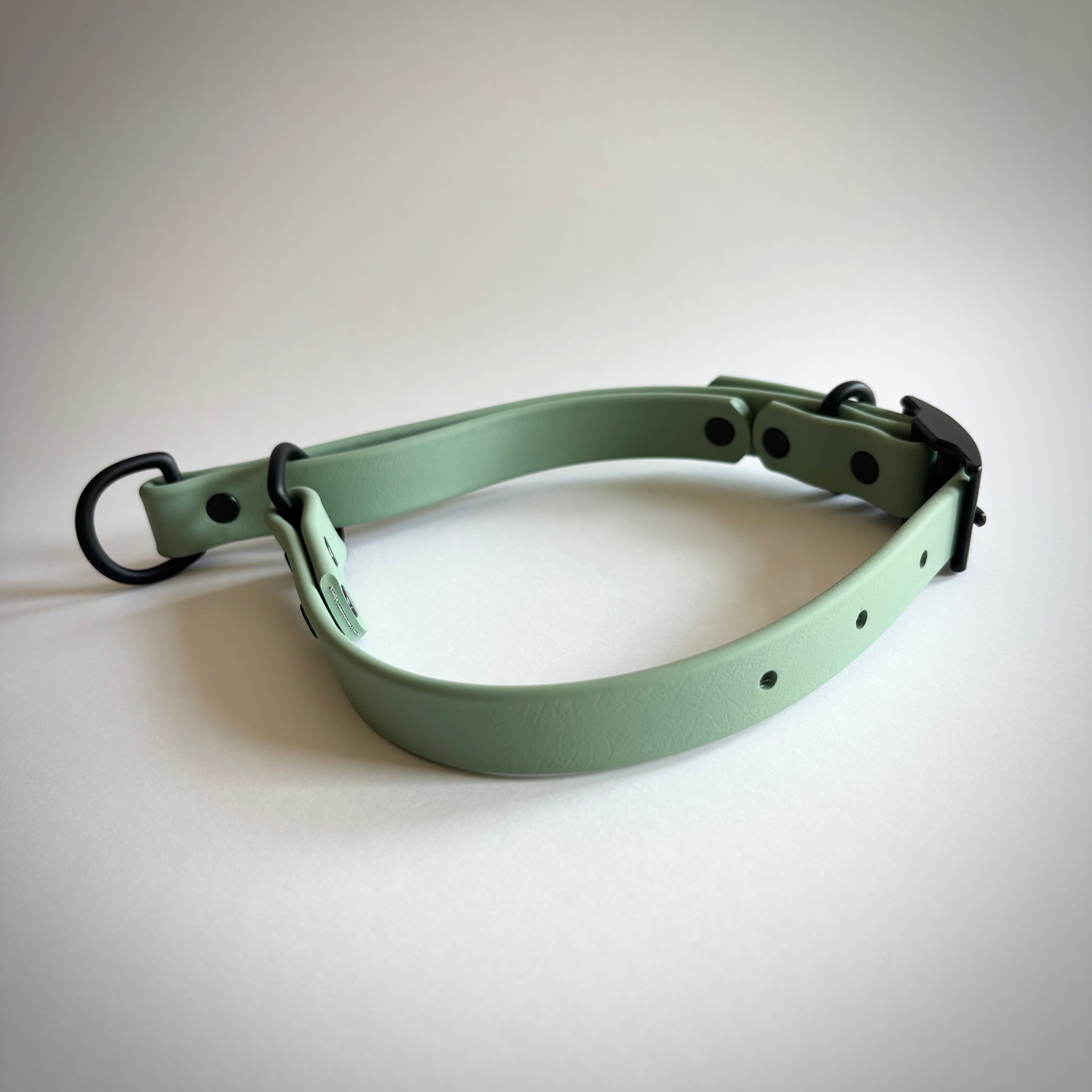 Waterproof Biothane Martingale Training Collar