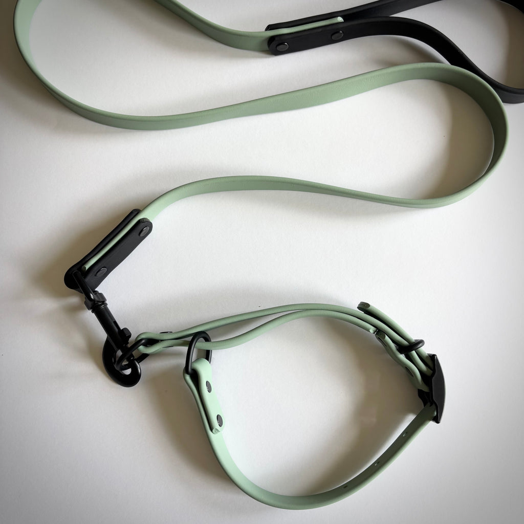 Waterproof Biothane Martingale Training Collar