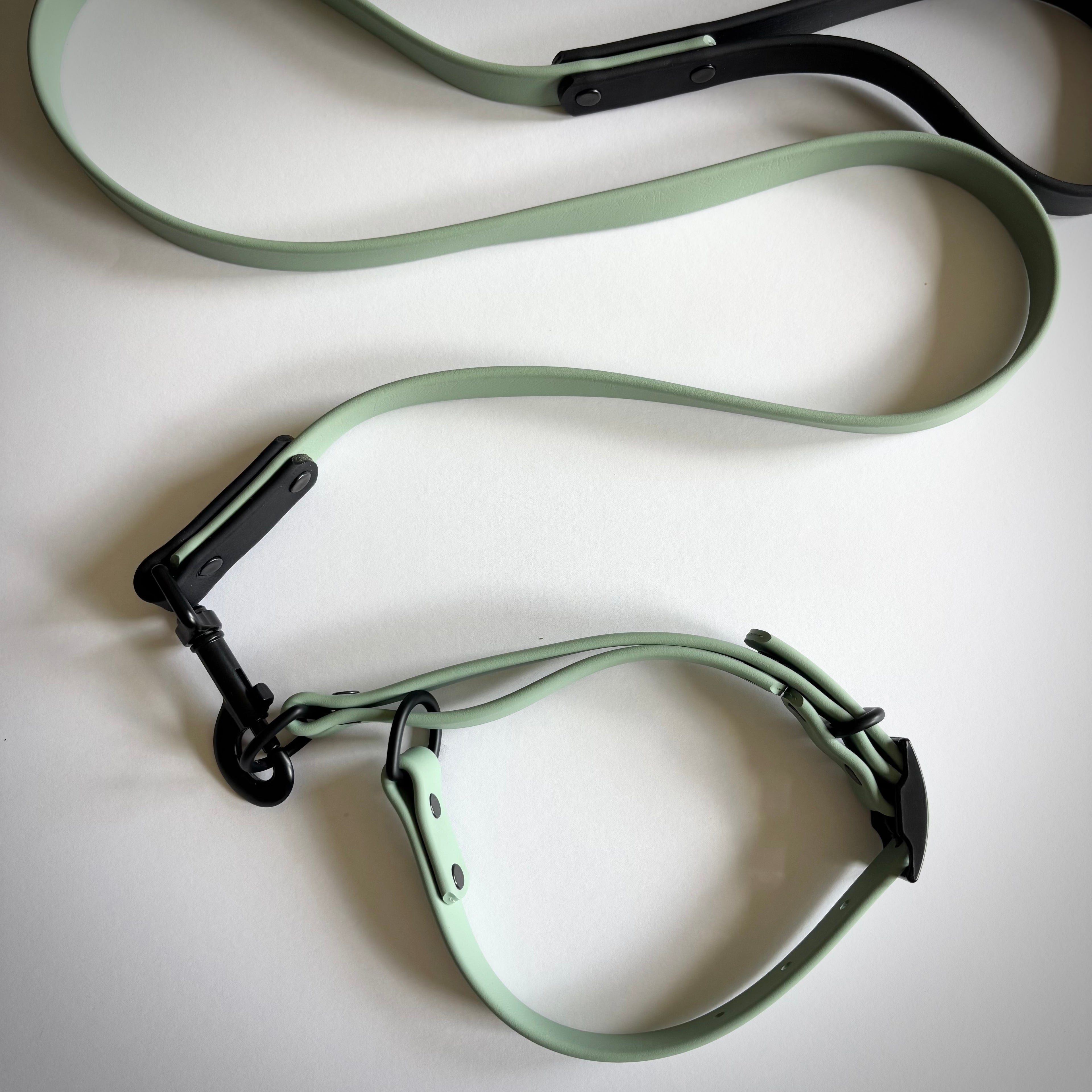 Waterproof Biothane Martingale Training Collar