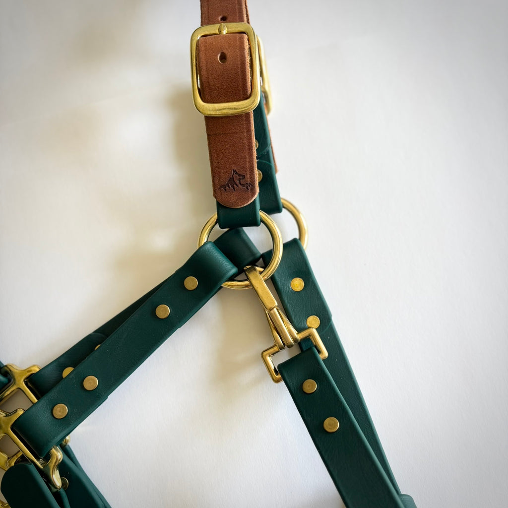 Adjustable Horse Halter and Lead Rope - Waterproof