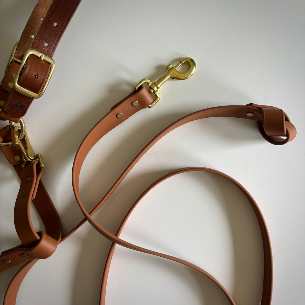 Adjustable Horse Halter and Lead Rope - Waterproof