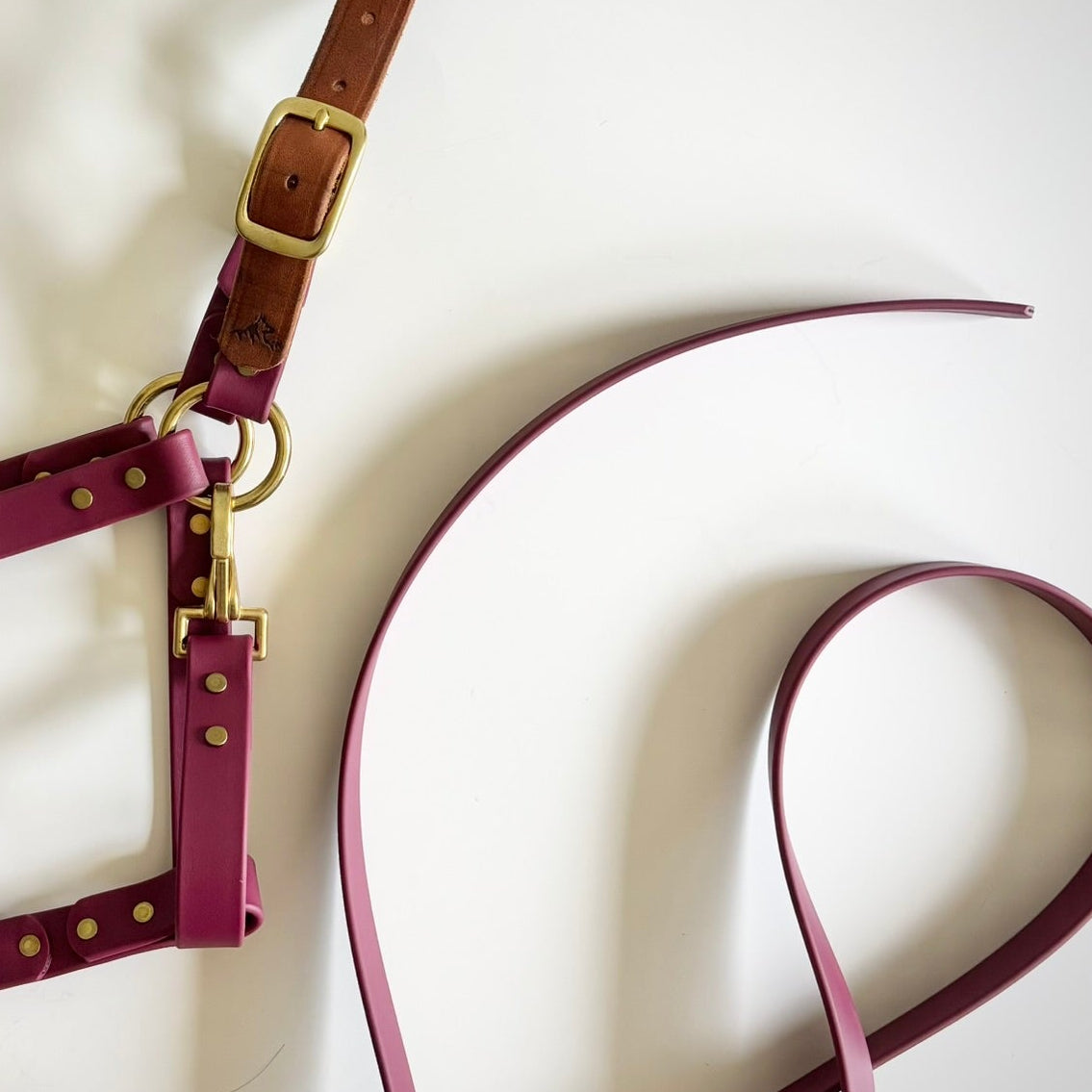 Adjustable Horse Halter and Lead Rope - Waterproof