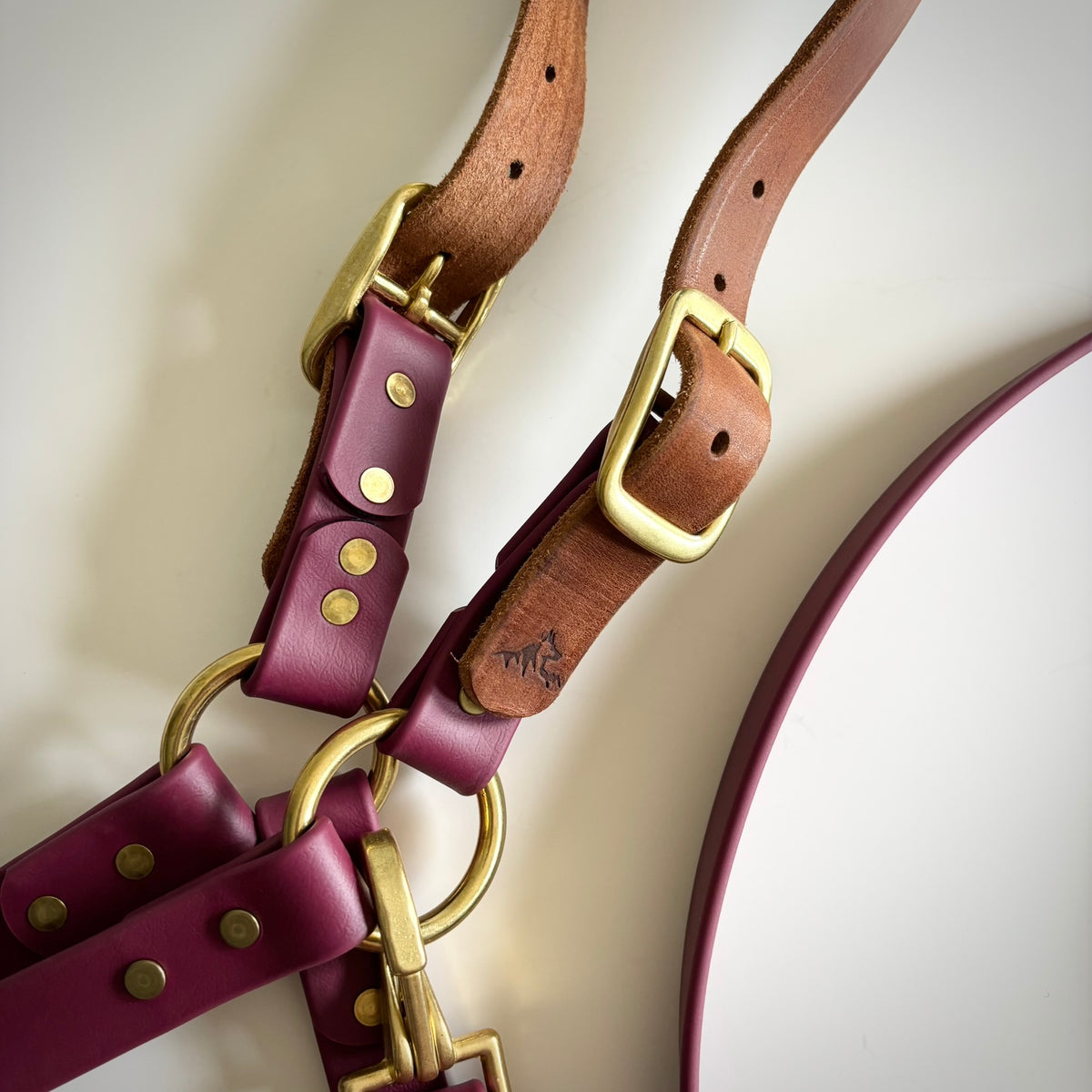 Adjustable Horse Halter and Lead Rope - Waterproof