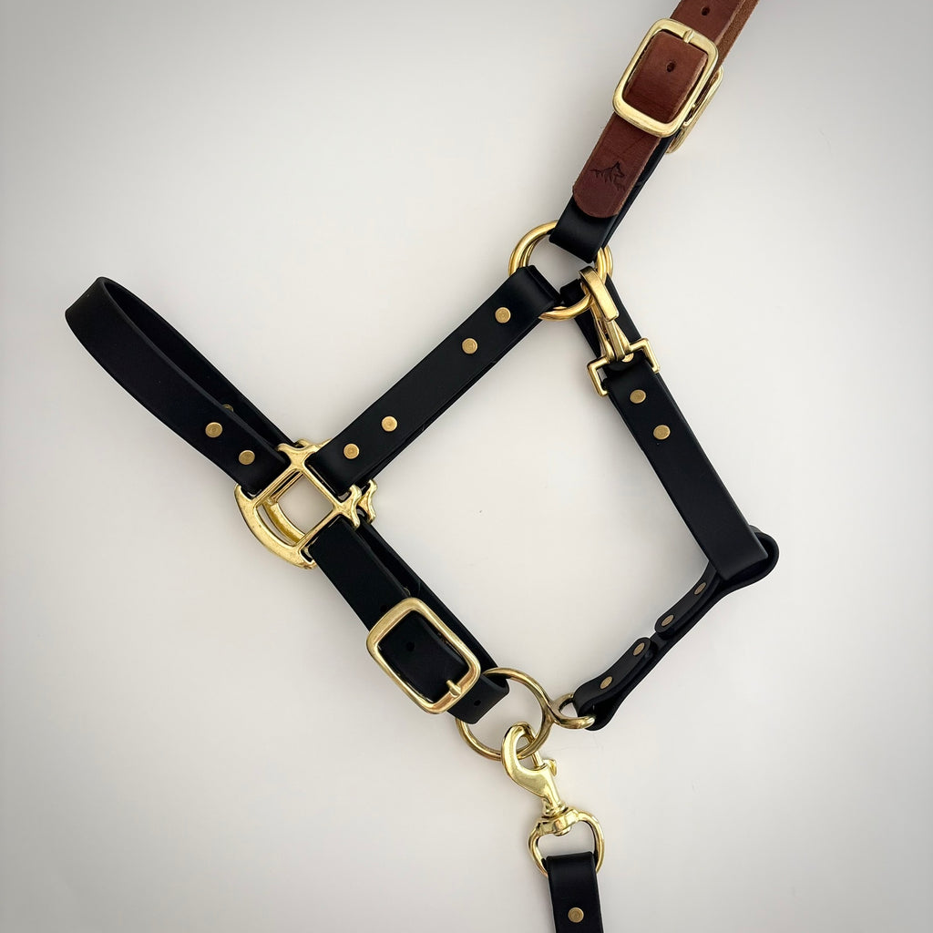 Adjustable Horse Halter and Lead Rope - Waterproof