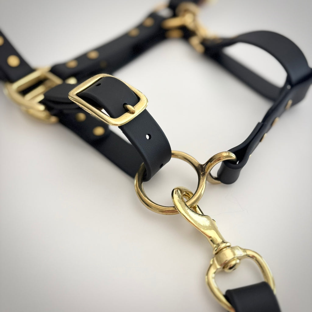Adjustable Horse Halter and Lead Rope - Waterproof