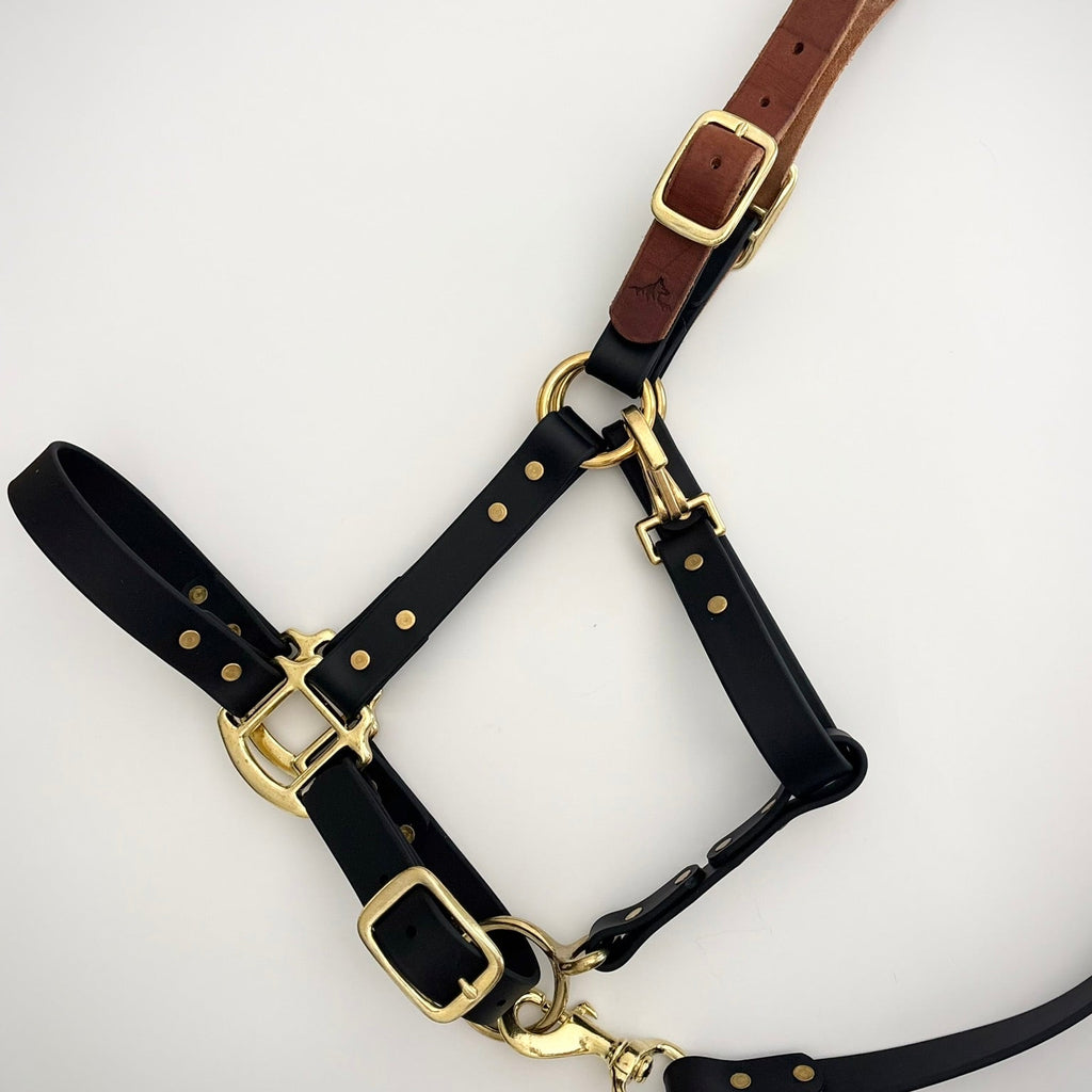 Adjustable Horse Halter and Lead Rope - Waterproof