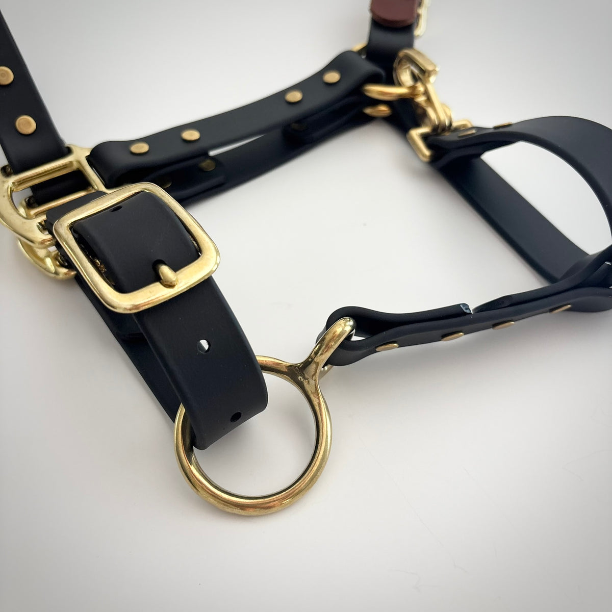 Adjustable Horse Halter and Lead Rope - Waterproof