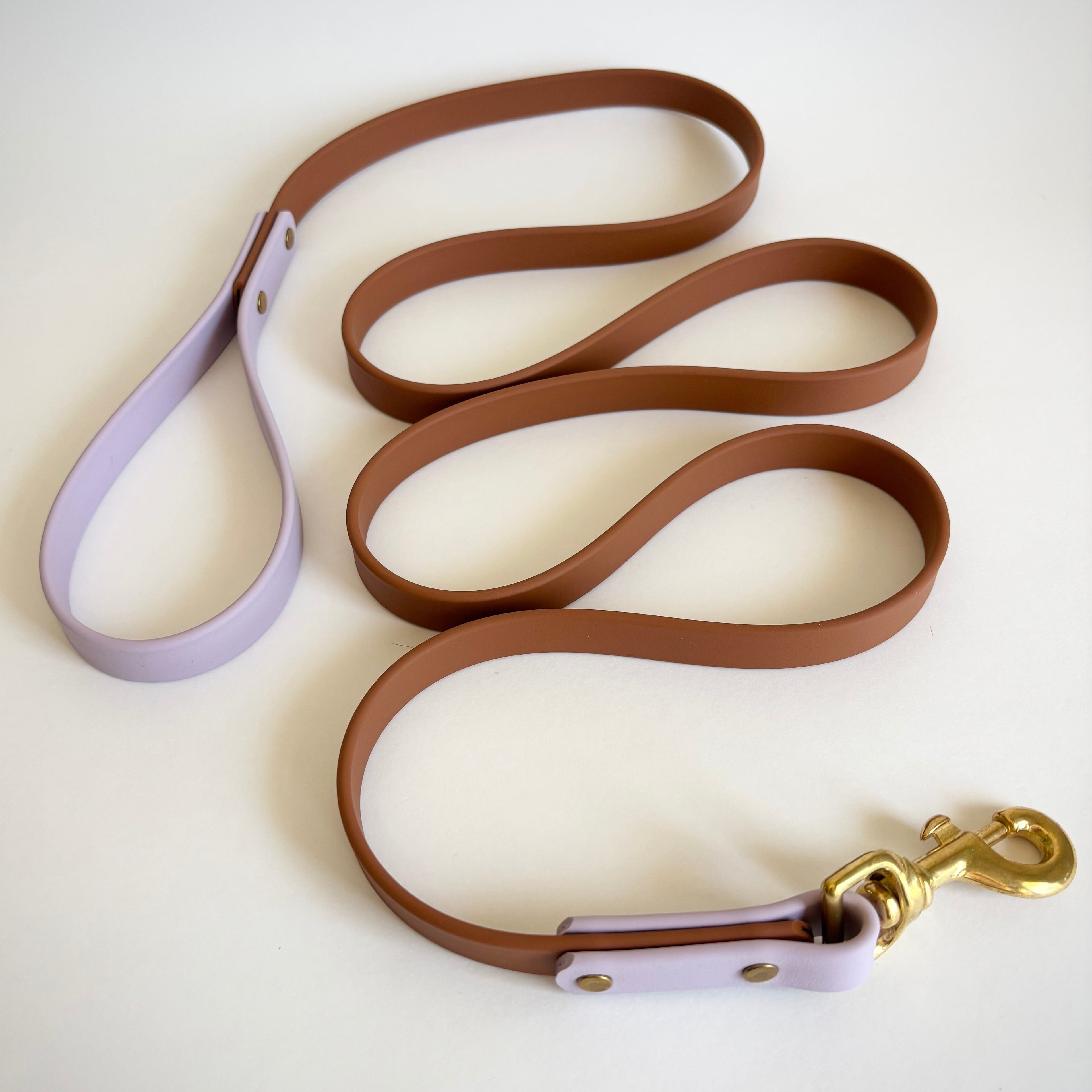 Two-Tone Dog Leash: Waterproof & Odor-Free Leash, Custom Colors