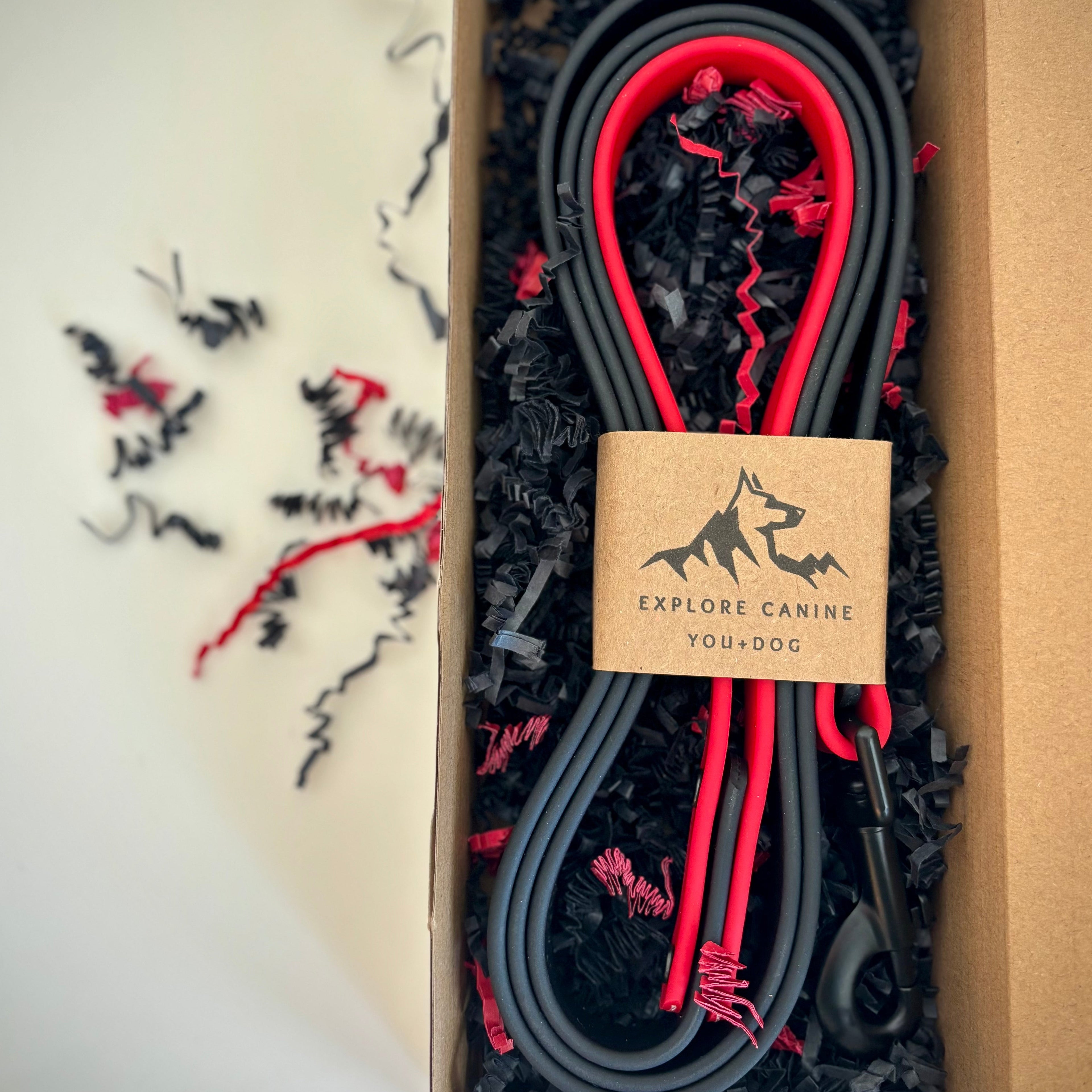 Two-Tone Dog Leash: Waterproof & Odor-Free Leash, Custom Colors