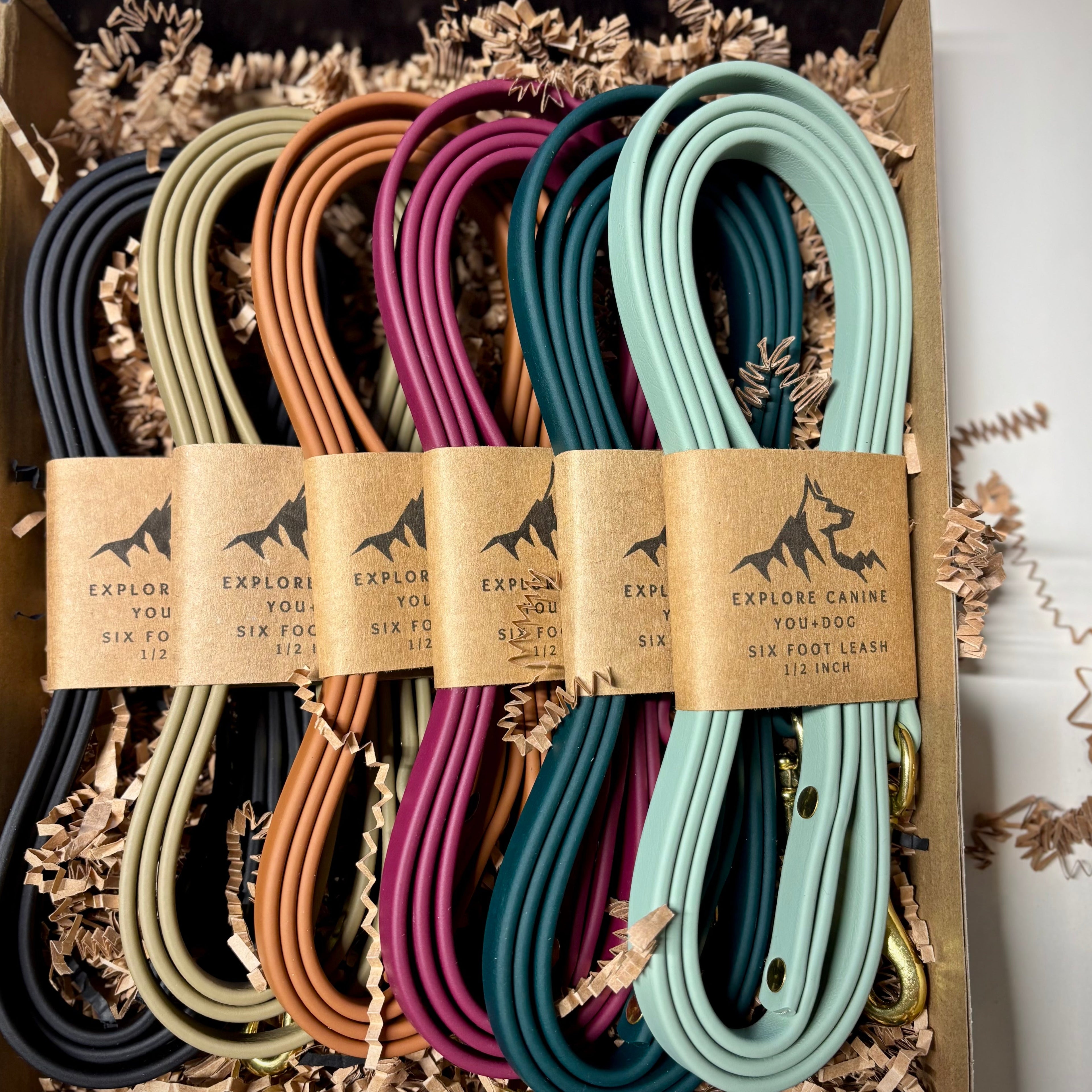 Single-Tone 3/4 Inch 6 Foot Dog Leash: Waterproof, Odor-Free, Biothane