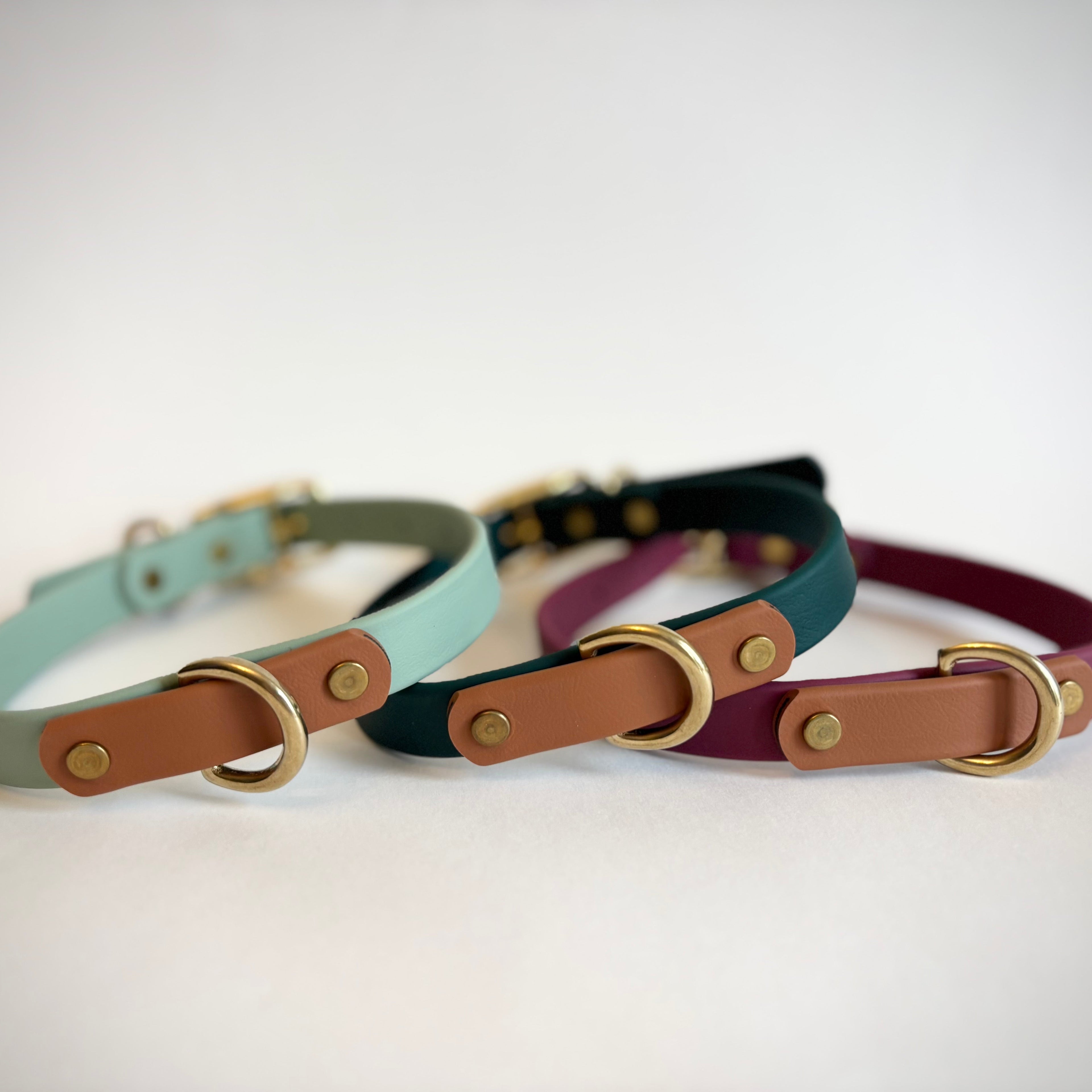 Southern Pines Destination Series: Leash and Collar SET