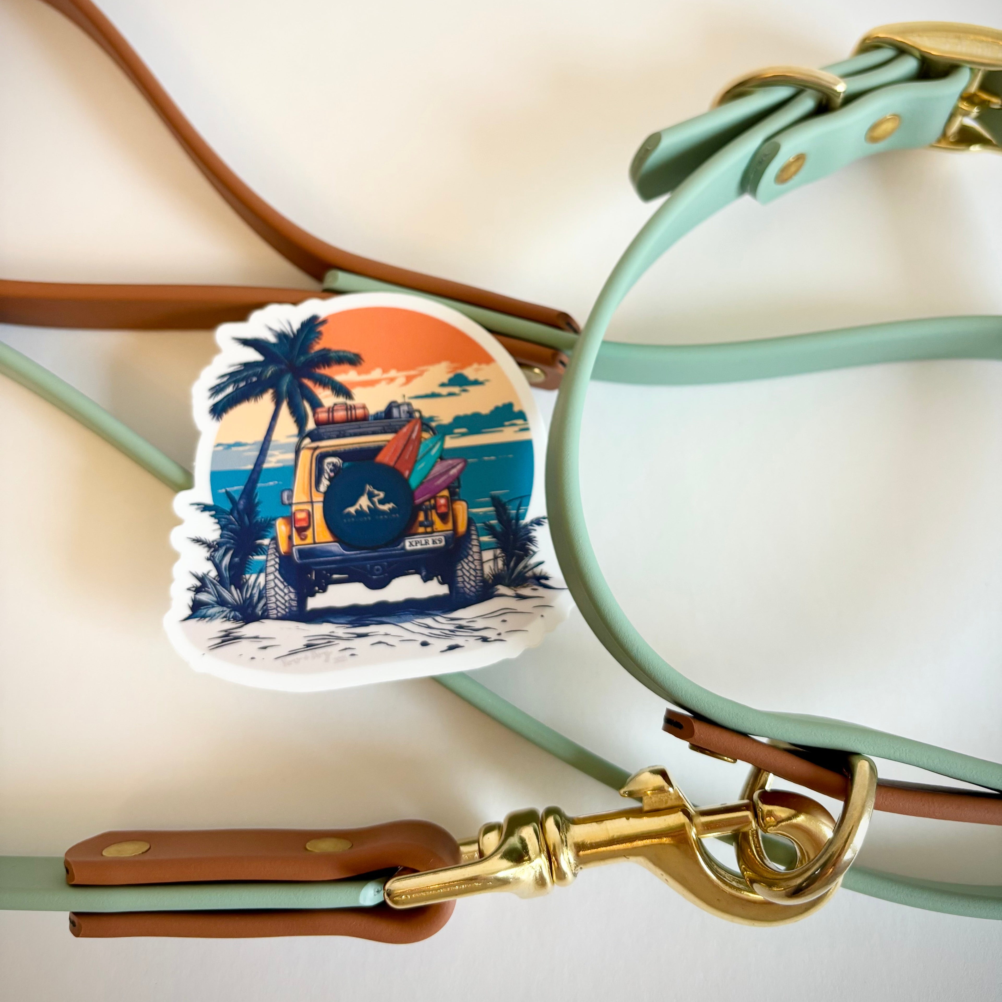 Oceanside Destination Series: Leash and Collar SET