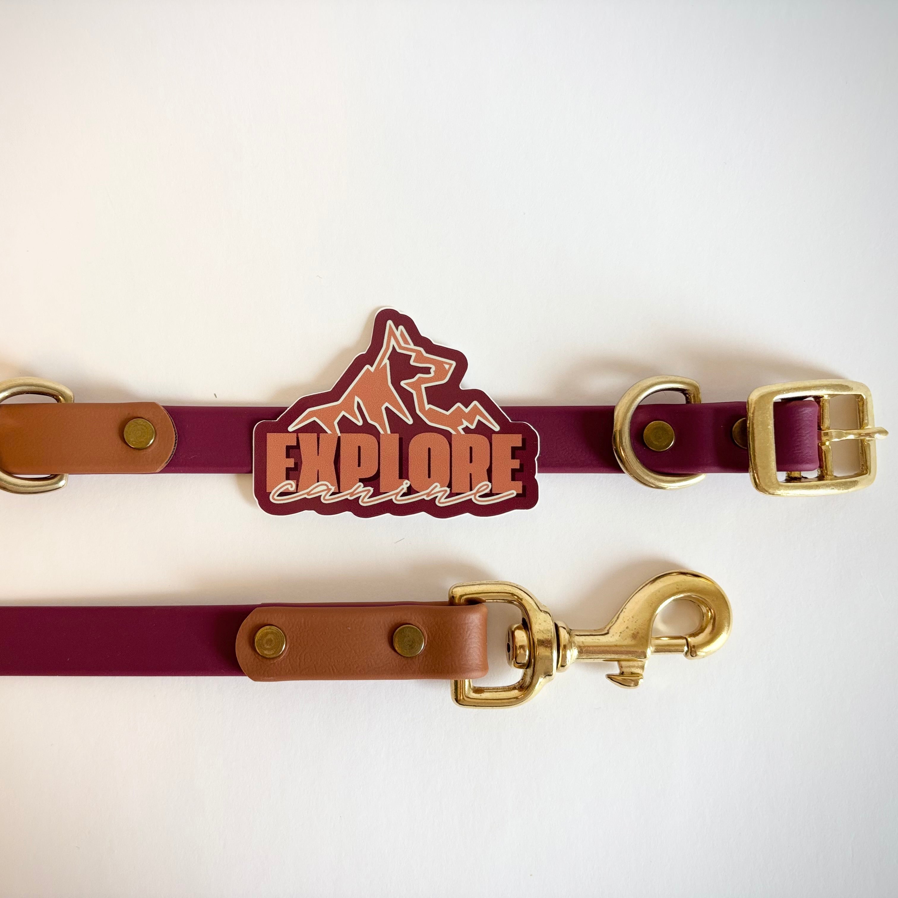 Borrego Destination Series: Leash and Collar SET