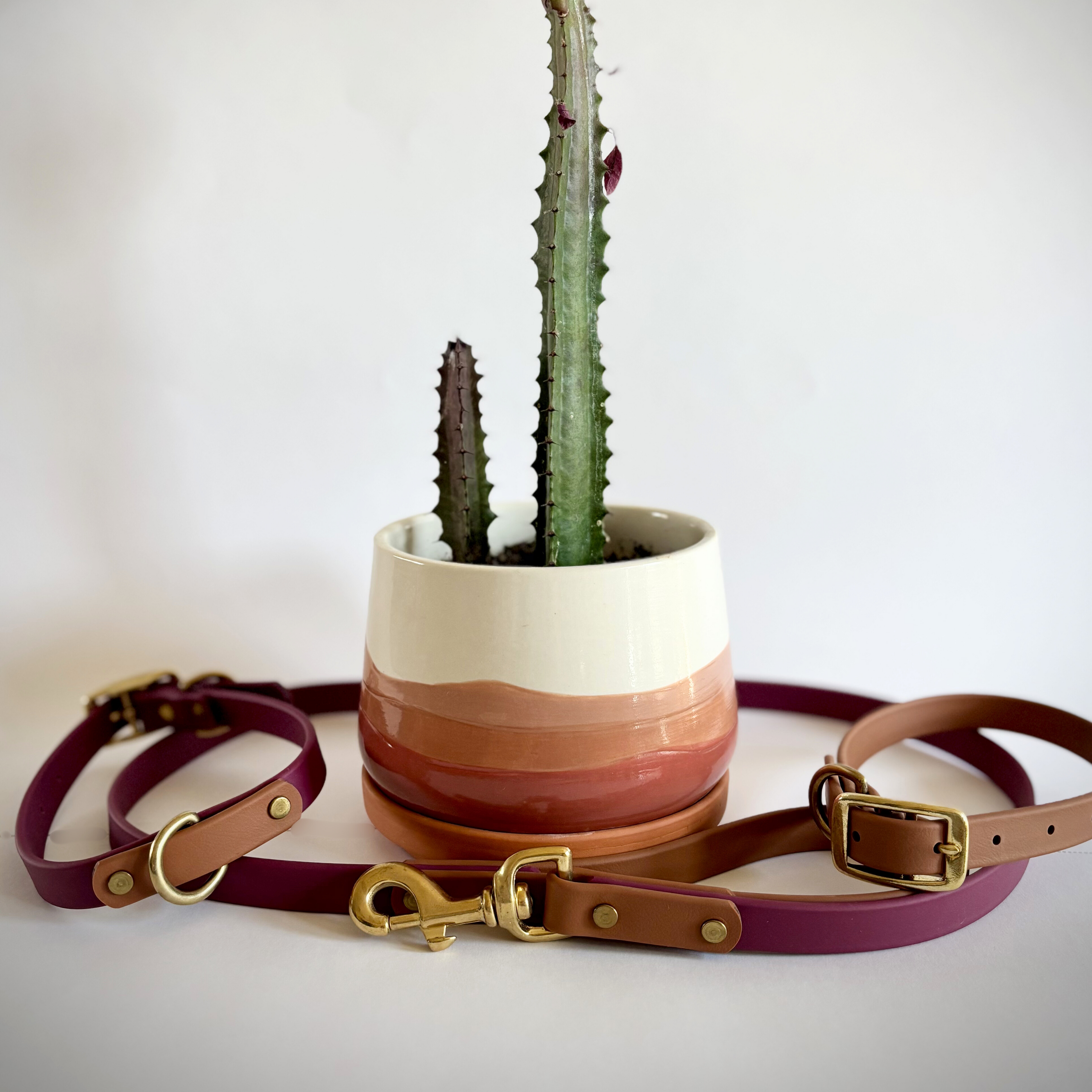 Borrego Destination Series: Leash and Collar SET