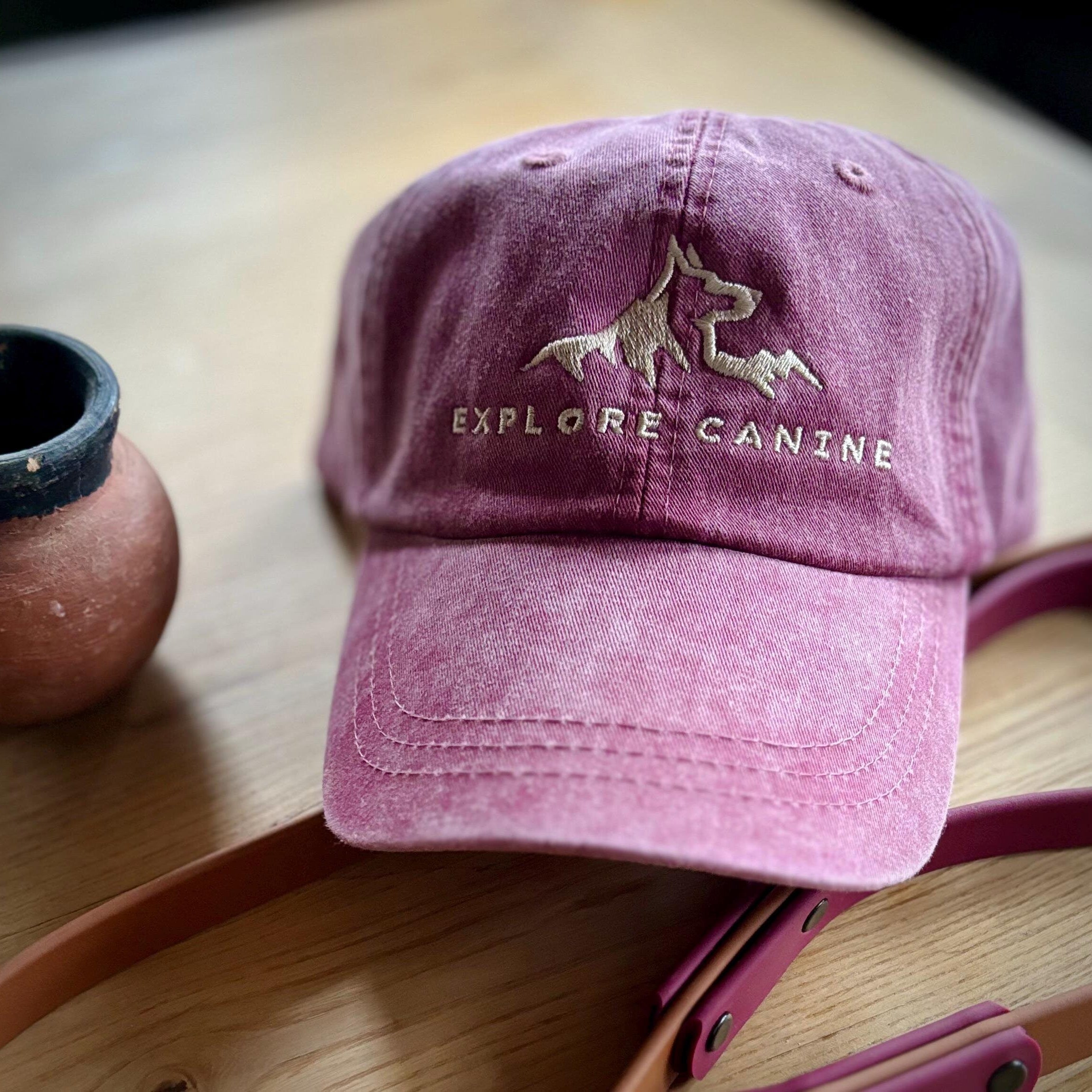 Explore Canine Destination Series Hat