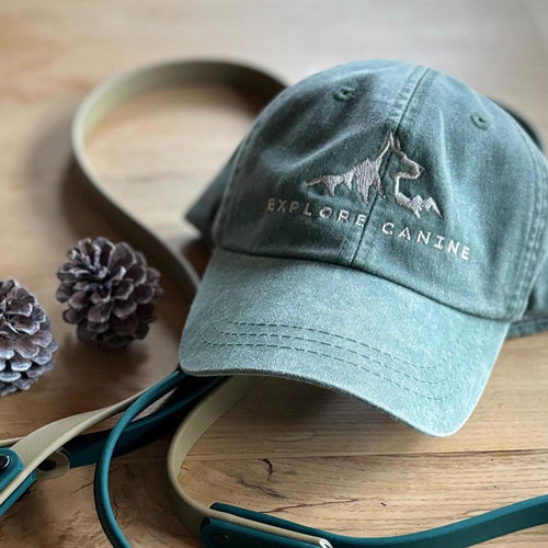 Explore Canine Destination Series Hat