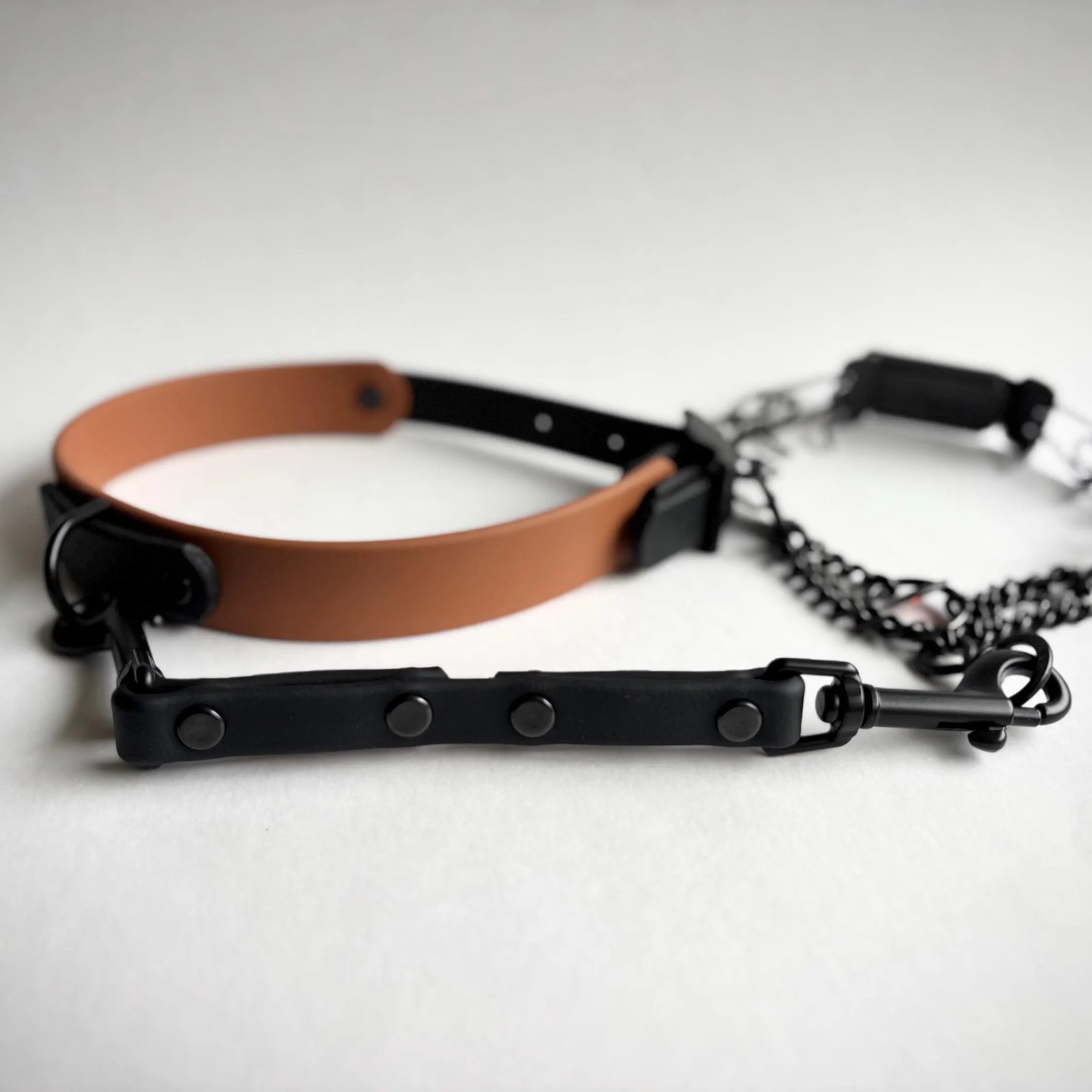 BioThane Dog Collar Safety Clip, Backup Leash Attachment