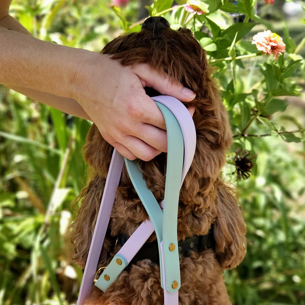 Two-Tone Dog Leash: Waterproof & Odor-Free Leash, Custom Colors