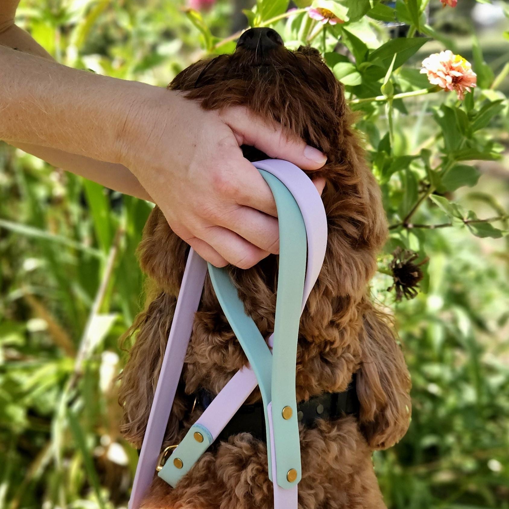 Two-Tone Dog Leash: Waterproof & Odor-Free Leash, Custom Colors