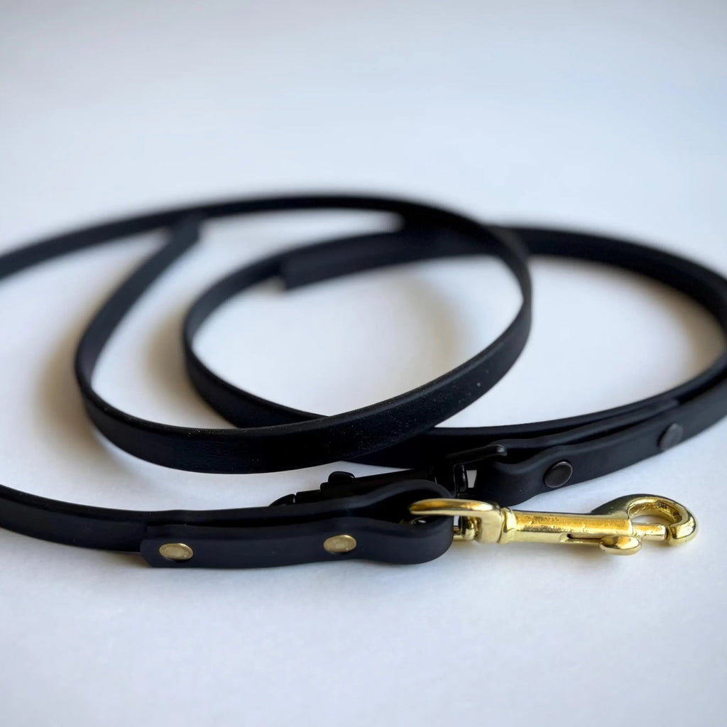 The Dragger: Indoor Training Leash