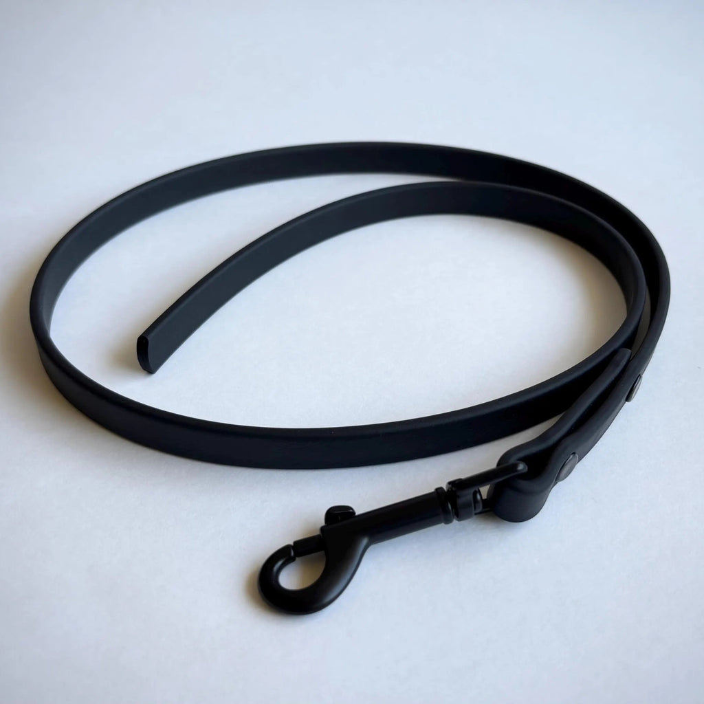 The Dragger: Indoor Training Leash