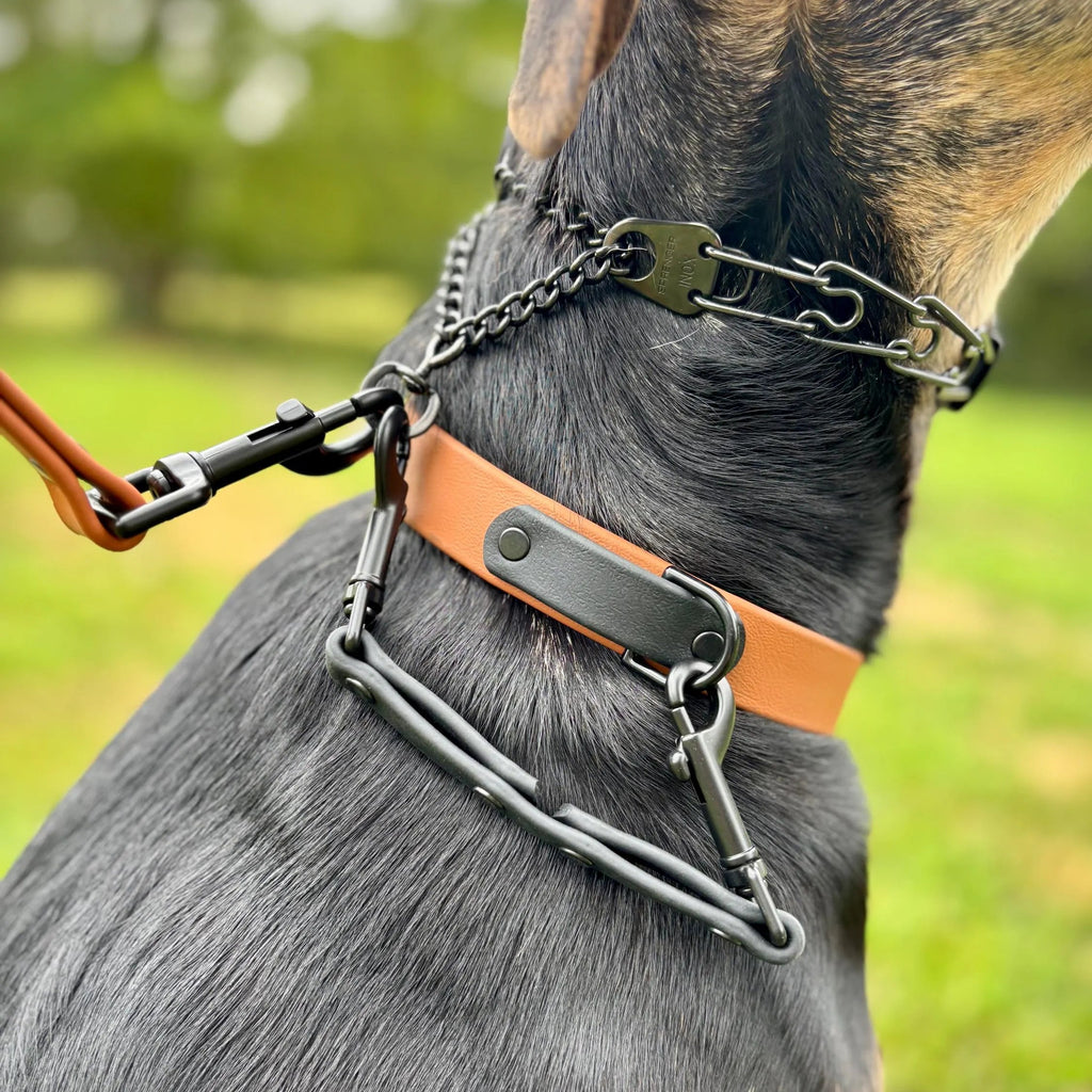 BioThane Dog Collar Safety Clip, Backup Leash Attachment