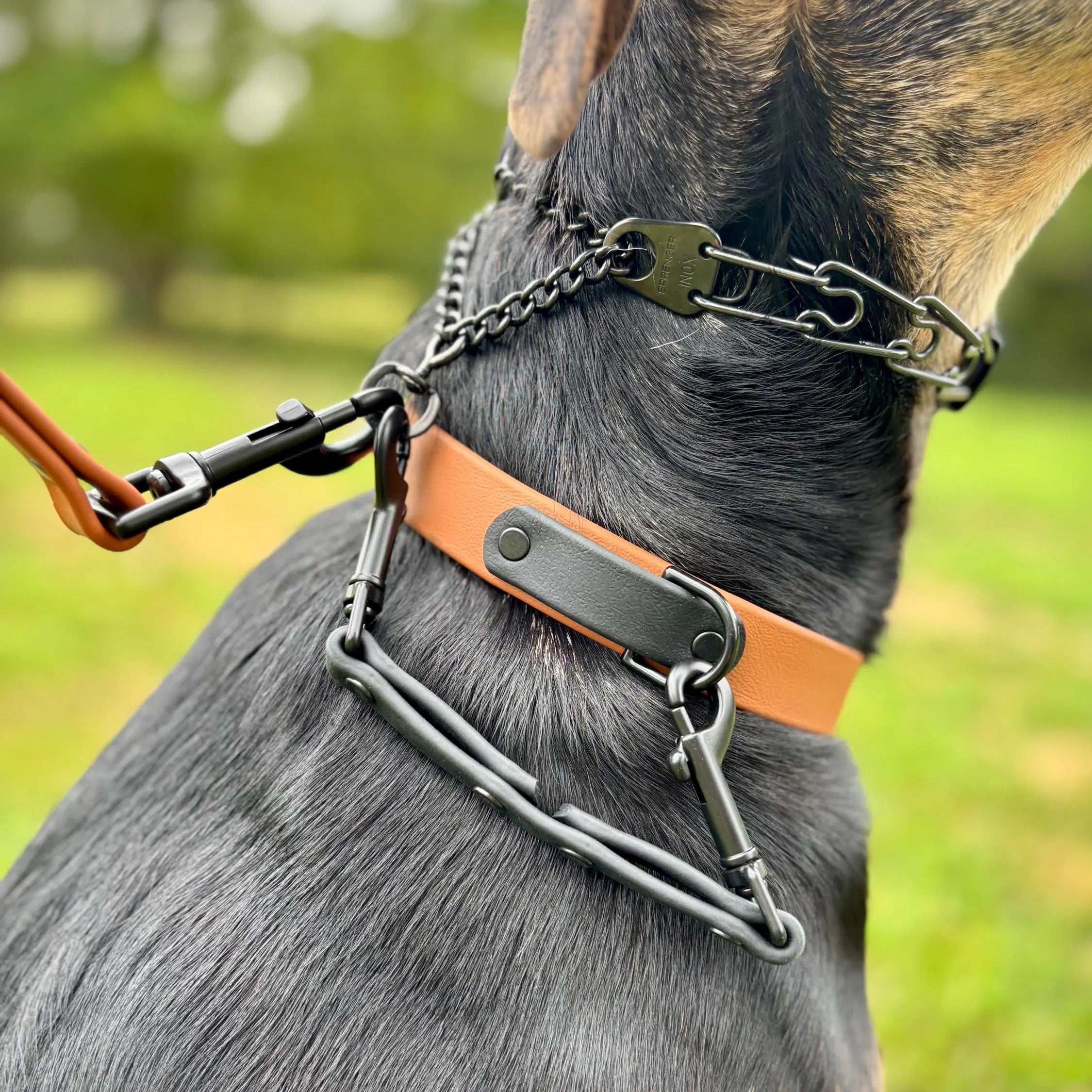 BioThane Dog Collar Safety Clip, Backup Leash Attachment