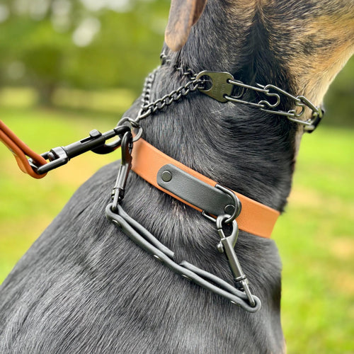 BioThane Dog Collar Safety Clip, Backup Leash Attachment