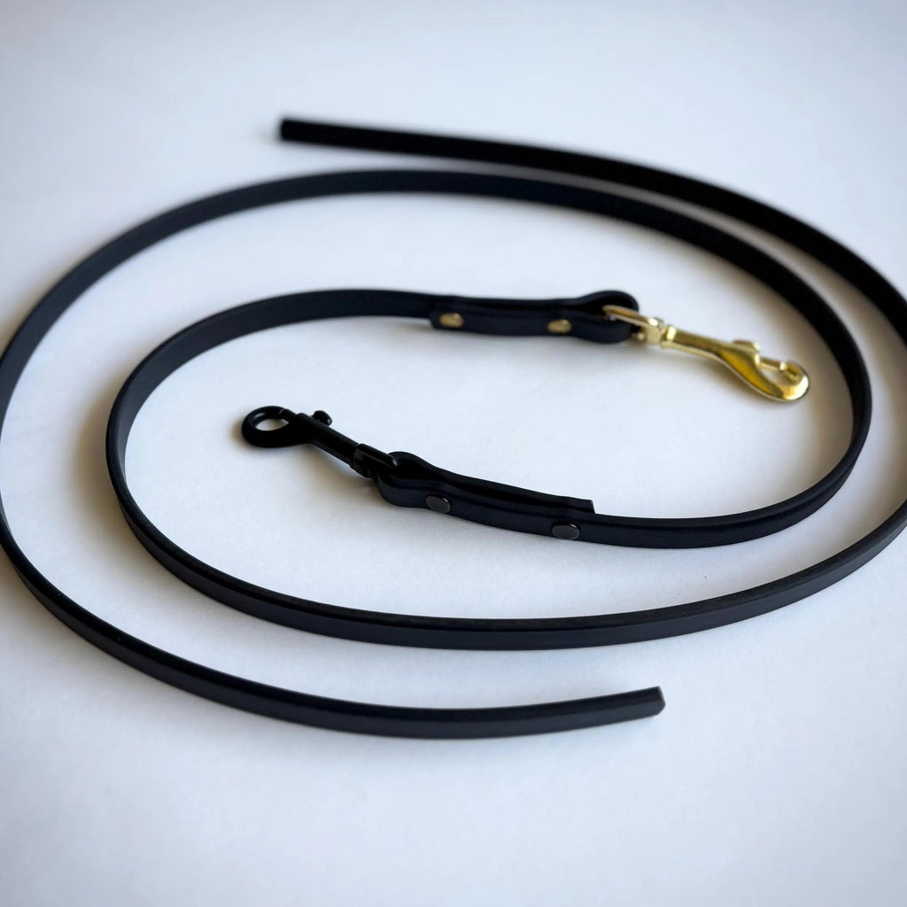 The Dragger: Indoor Training Leash