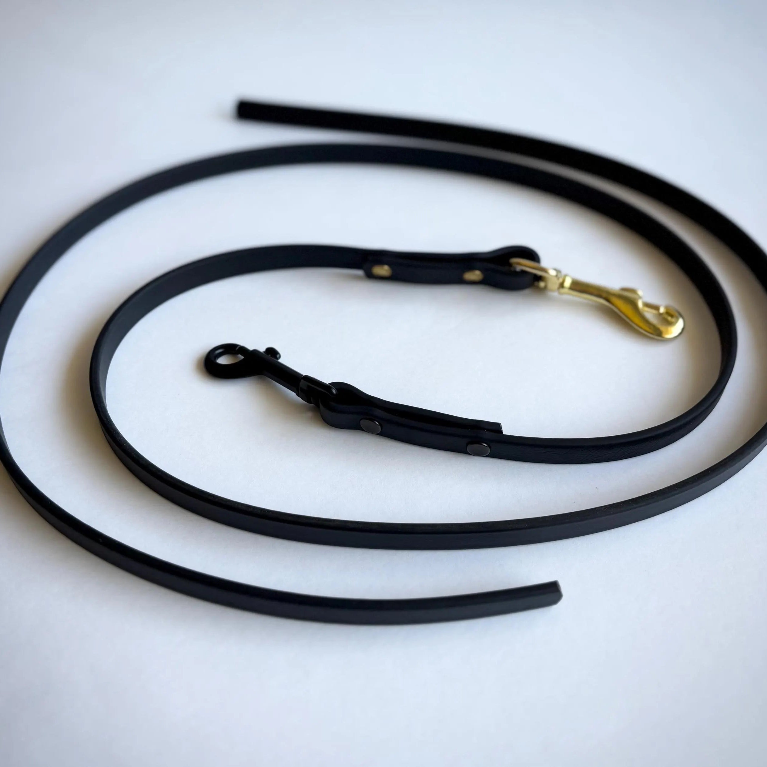 The Dragger: Indoor Training Leash