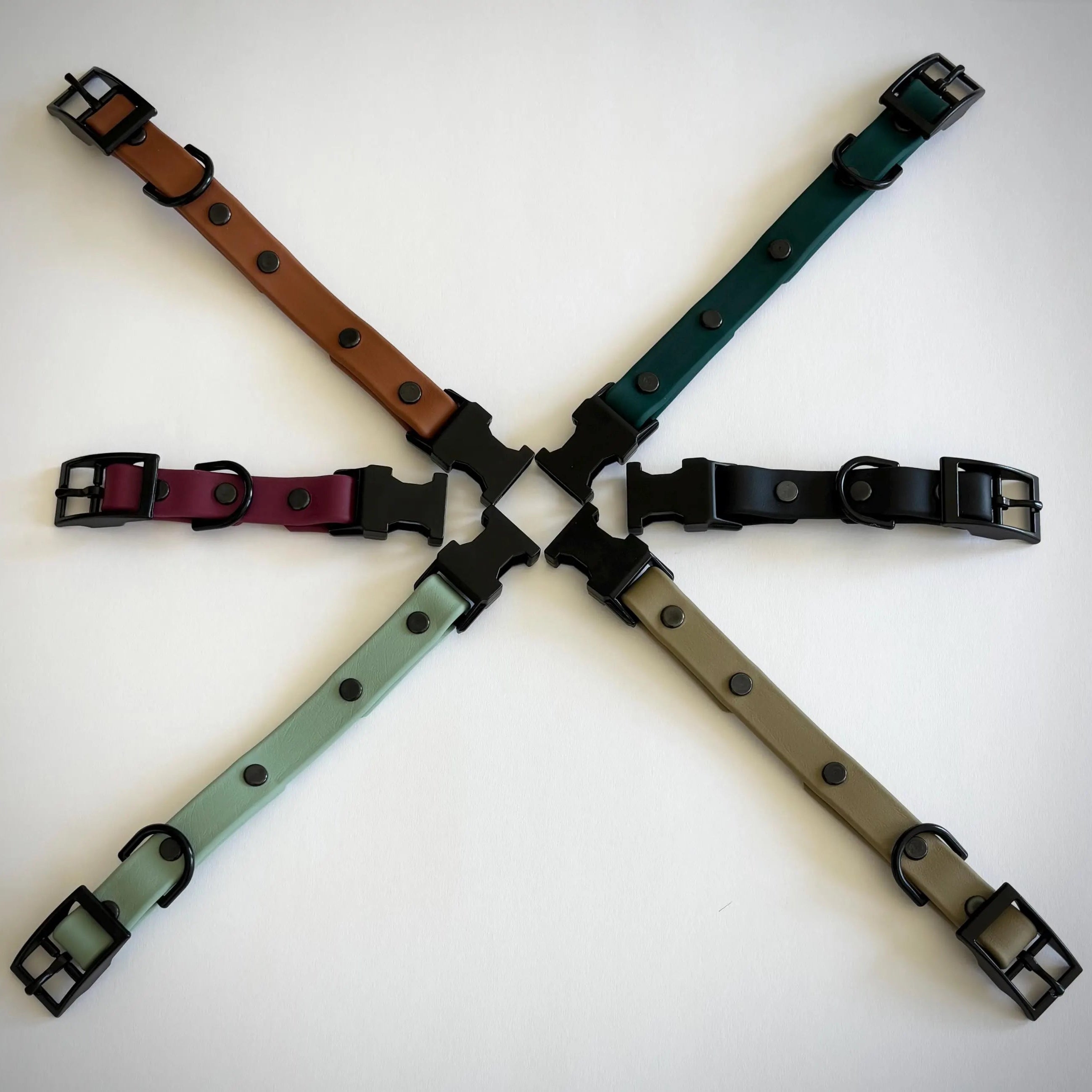 HEAD ONLY: Interchangeable Dog Collar AND E-Collar Replacement