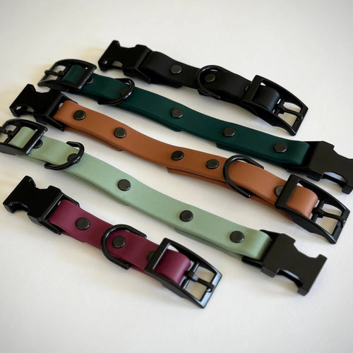 3/4 Inch HEAD ONLY: Interchangeable Dog Collar AND E-Collar Replacement