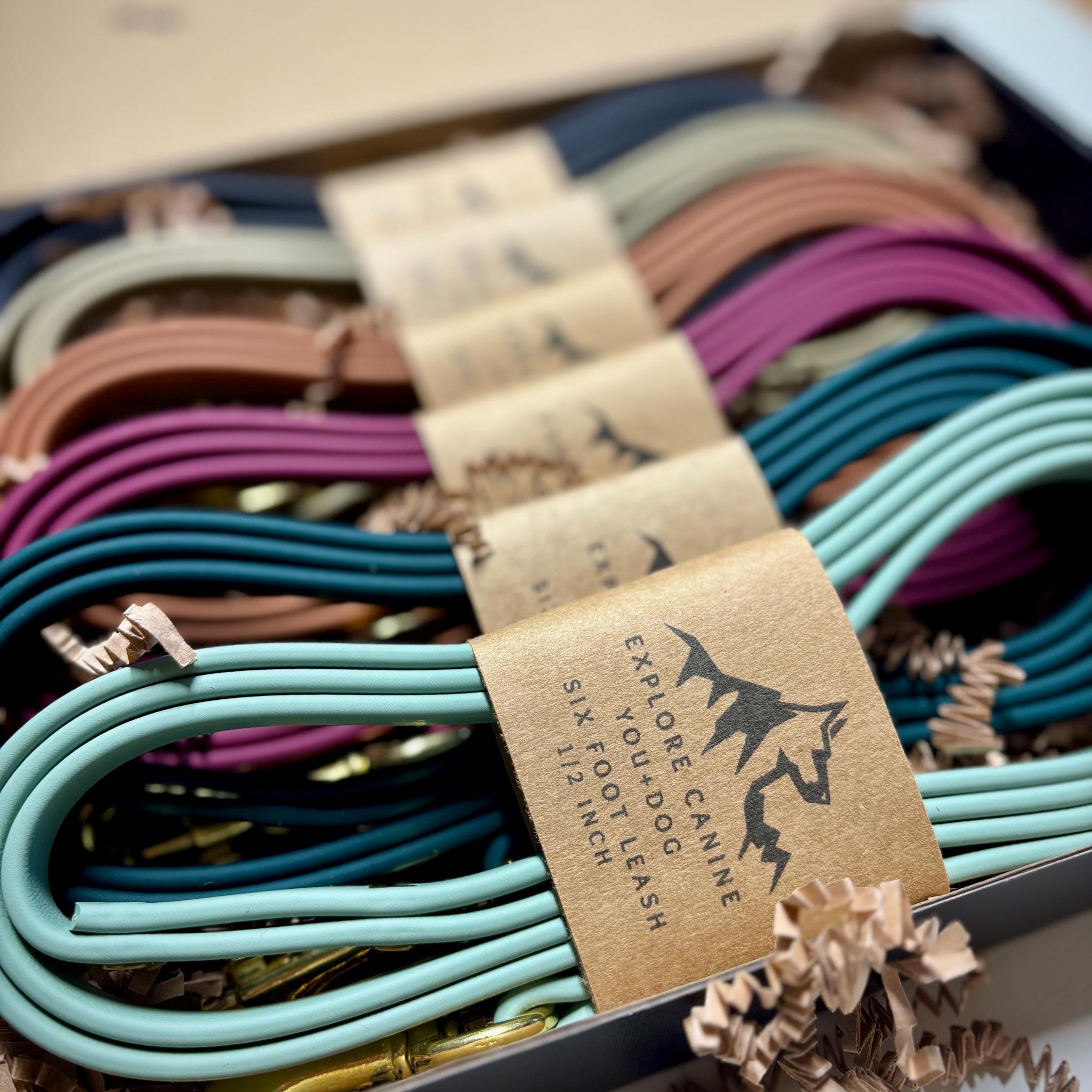 Single-Tone 3/4 Inch 6 Foot Dog Leash: Waterproof, Odor-Free, Biothane