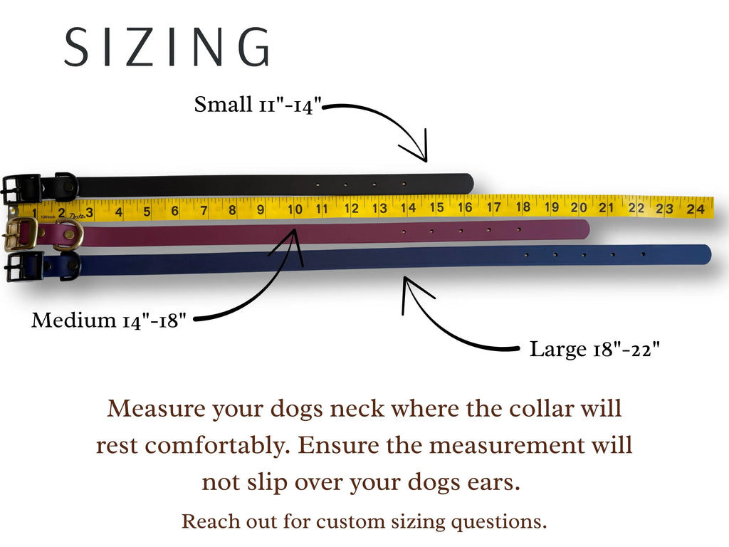 Helmand Destination Series: Leash and Collar SET
