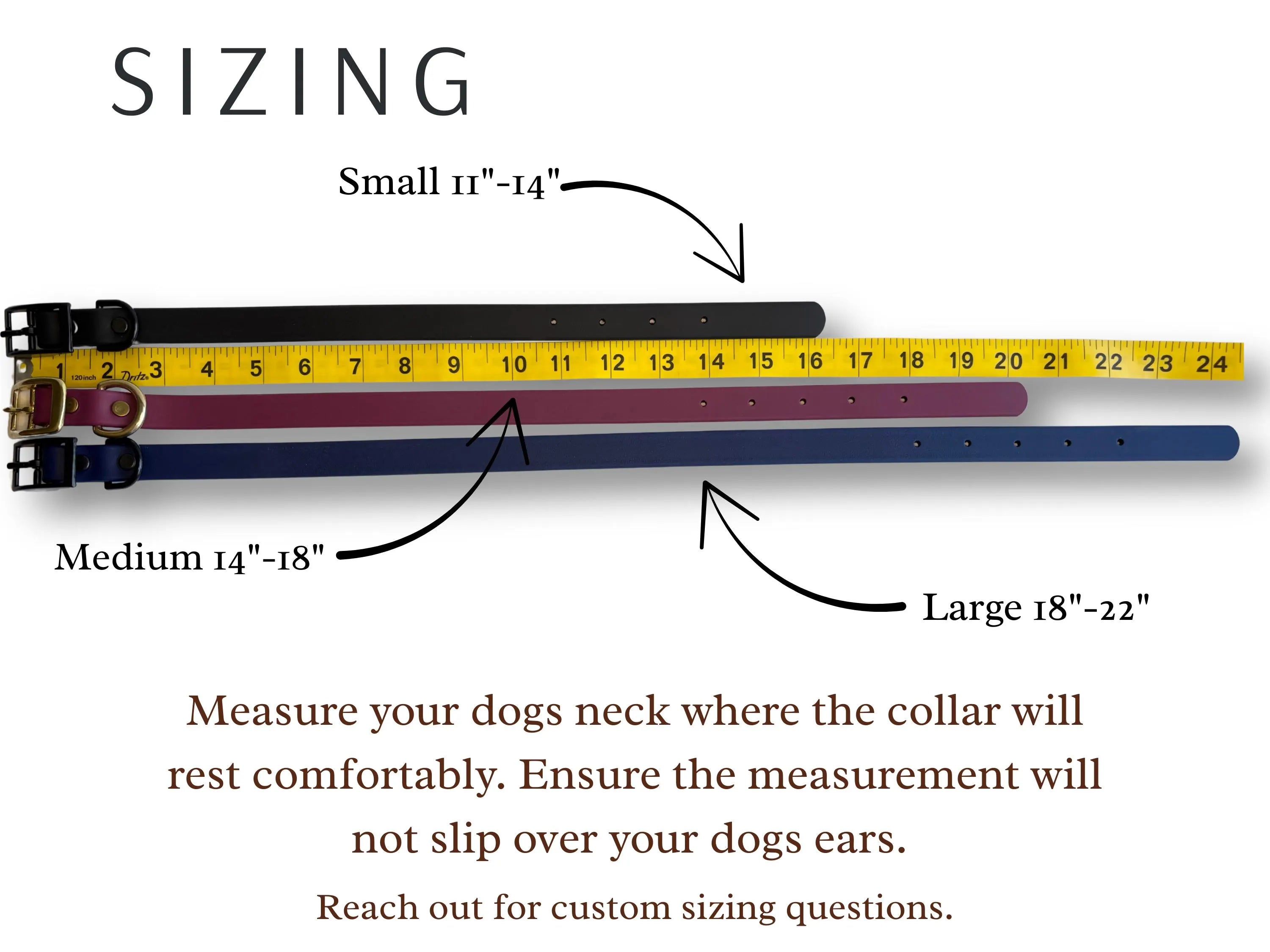 Southern Pines Destination Series: Leash and Collar SET