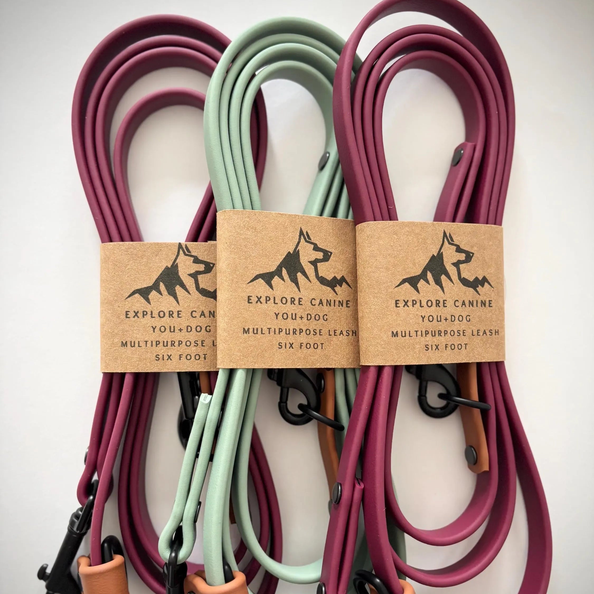 Multipurpose Hands-Free Dog Leash | Crossbody, Slip Lead, 6ft or 7ft | Waterproof
