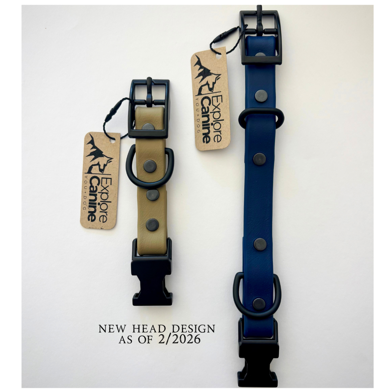 HEAD ONLY: Interchangeable Dog Collar AND E-Collar Replacement