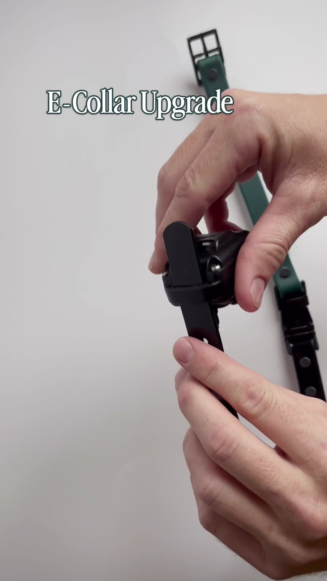 3/4 Inch BODY ONLY: E-Collar Replacement Strap