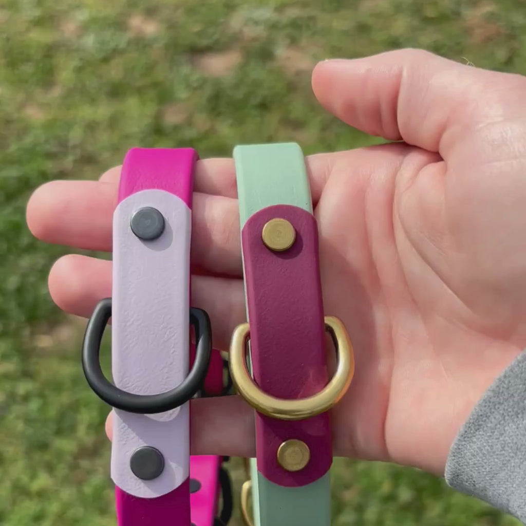 Two-Tone 3/4 Inch Dog Collar: Custom Colors, Waterproof, Odor-free, Biothane