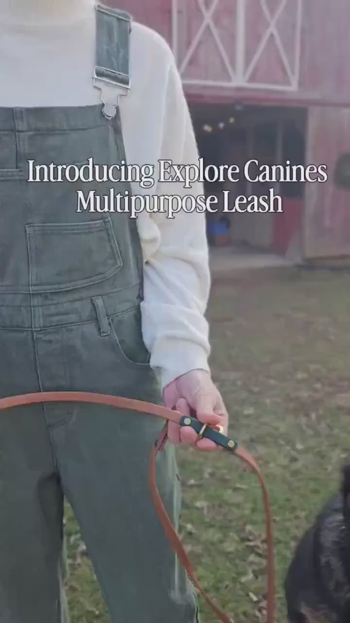Multipurpose Hands-Free Dog Leash | Crossbody, Slip Lead, 6ft or 7ft | Waterproof